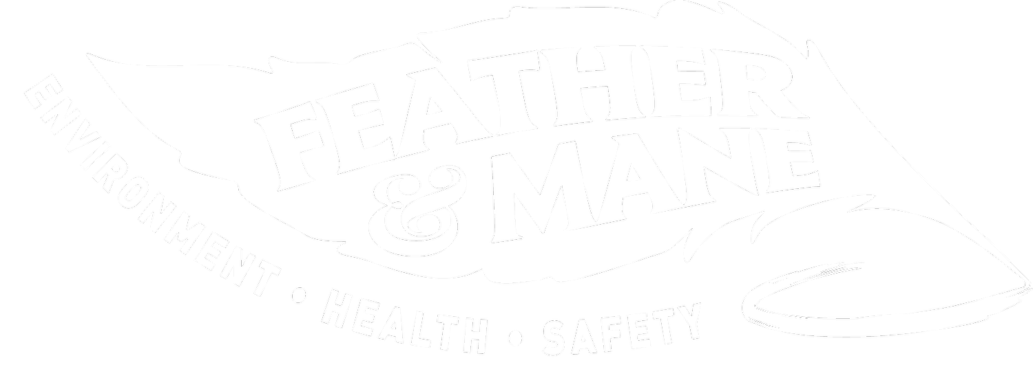 FEATHER &amp; MANE