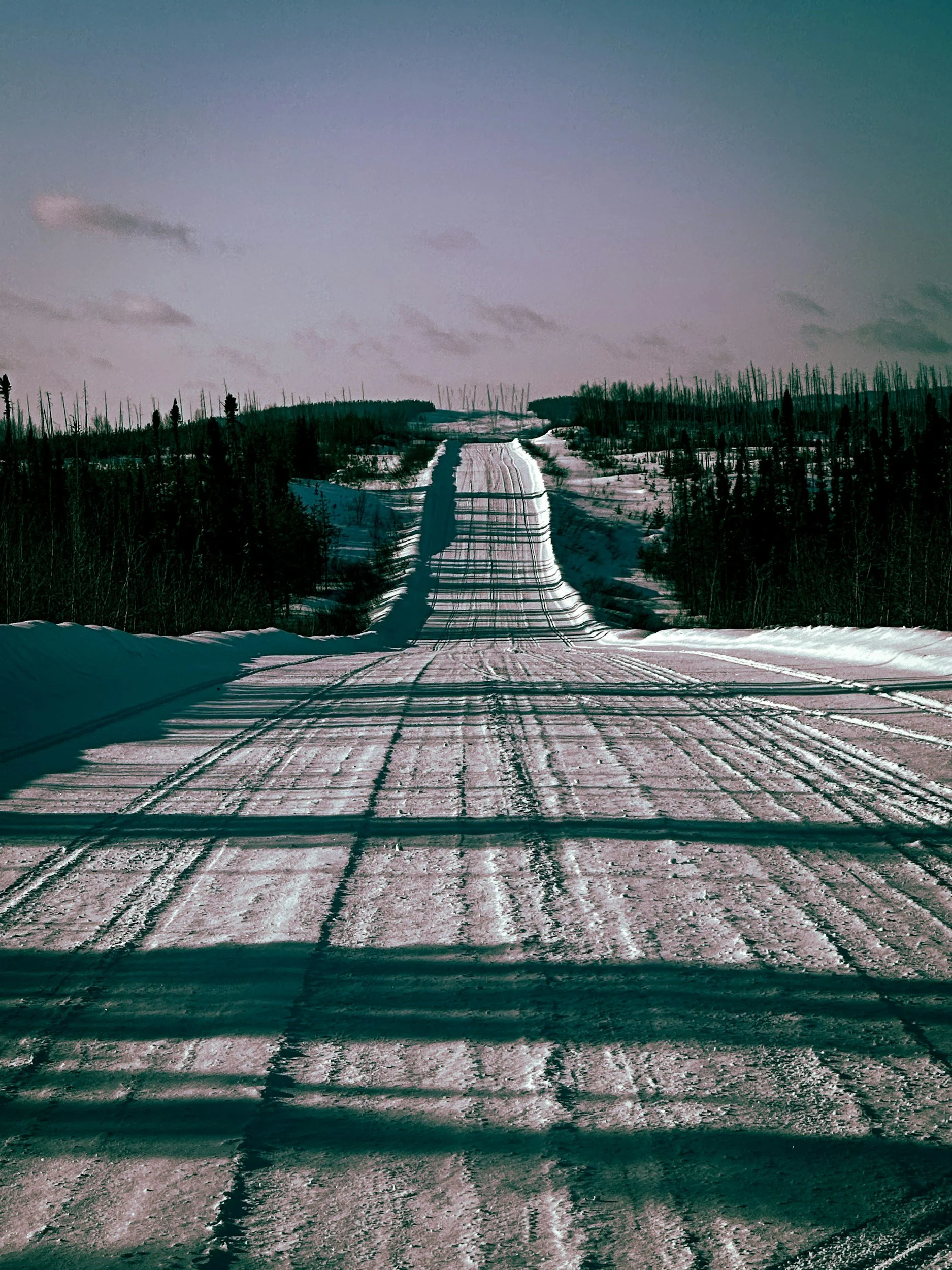 Snow-covered cross-country ski trail through a forested landscape with a cloudy sky.