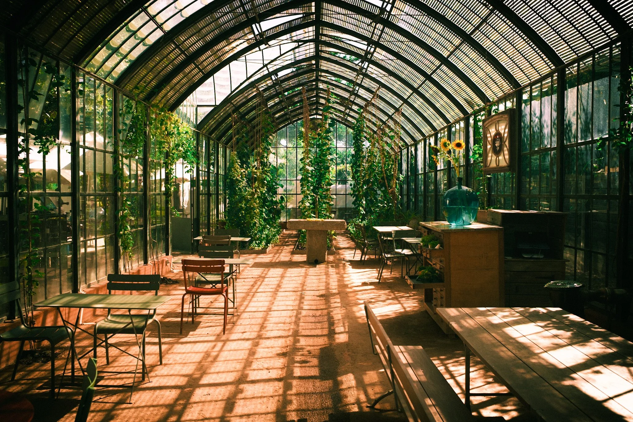 Sunlit greenhouse with glass walls and roof, filled with green plants and wooden tables and chairs, casting shadows on the floor. There are sunflowers in a vase on a piece of furniture on the right.