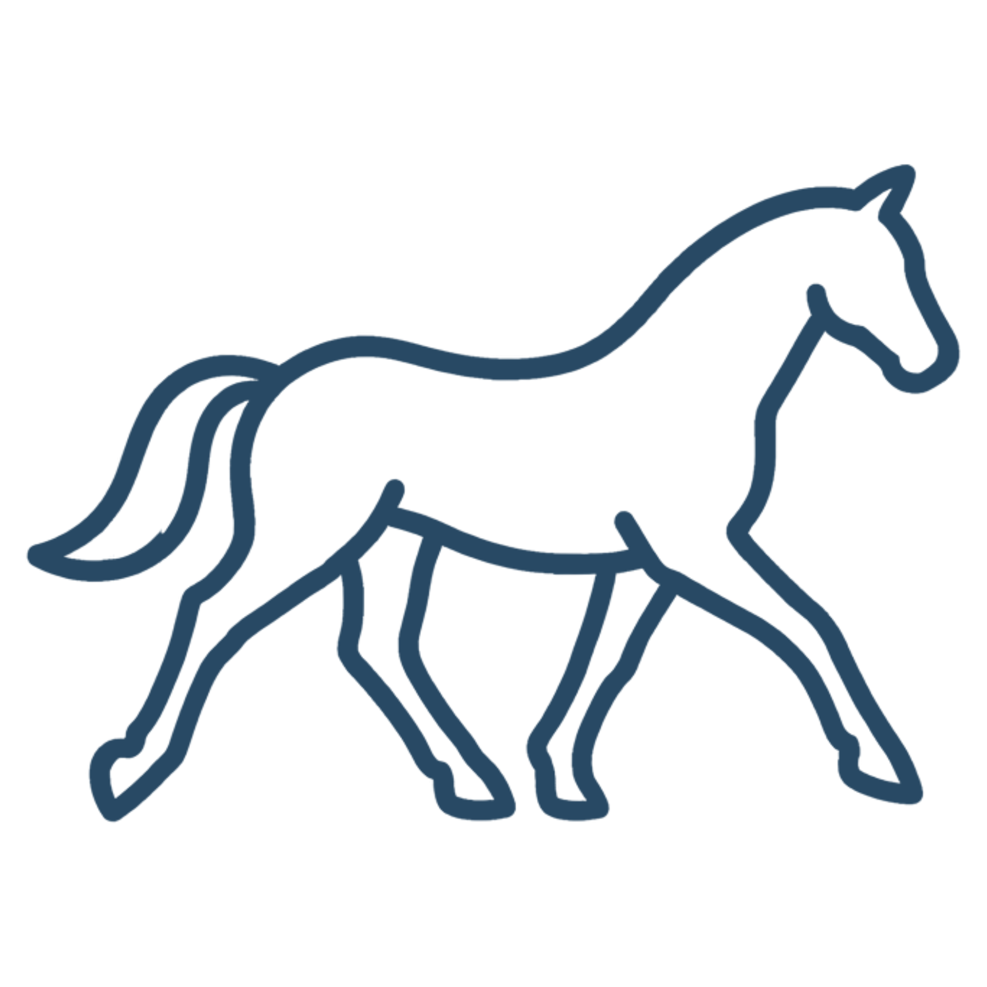 Outline of a horse in neon style with glowing blue lines.