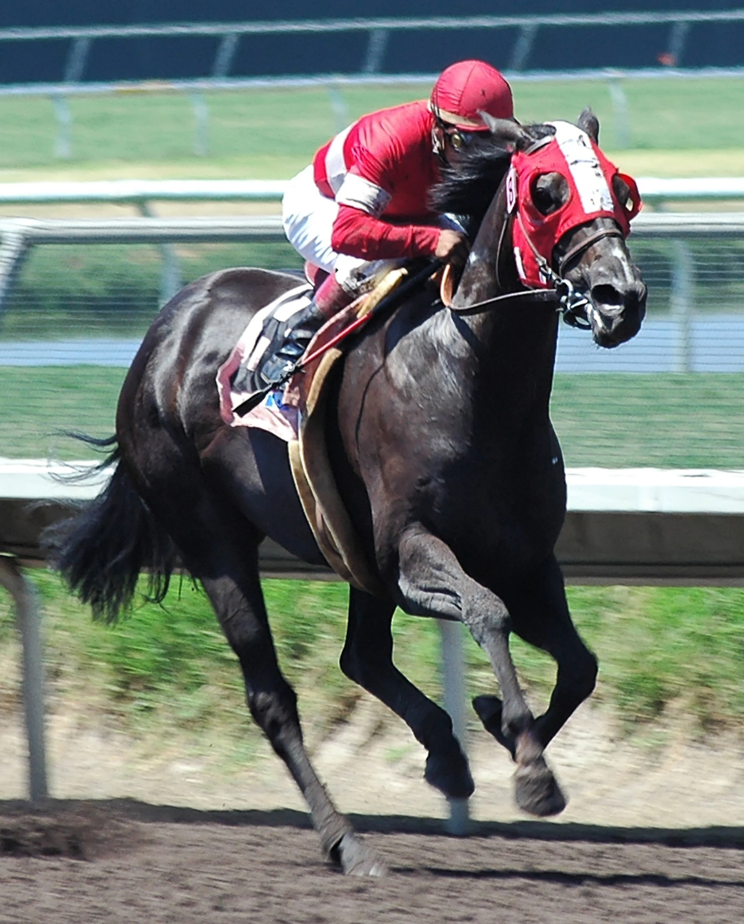 A jockey in red riding gear and a helmet riding a dark brown racehorse on a racetrack.