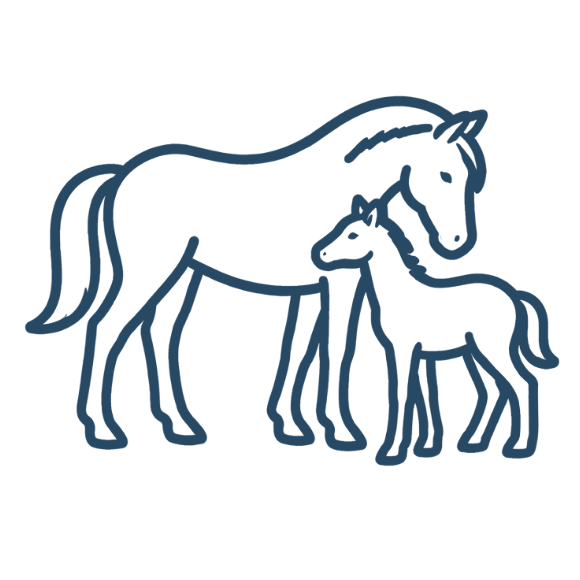Blue outline of a horse and foal standing side by side.