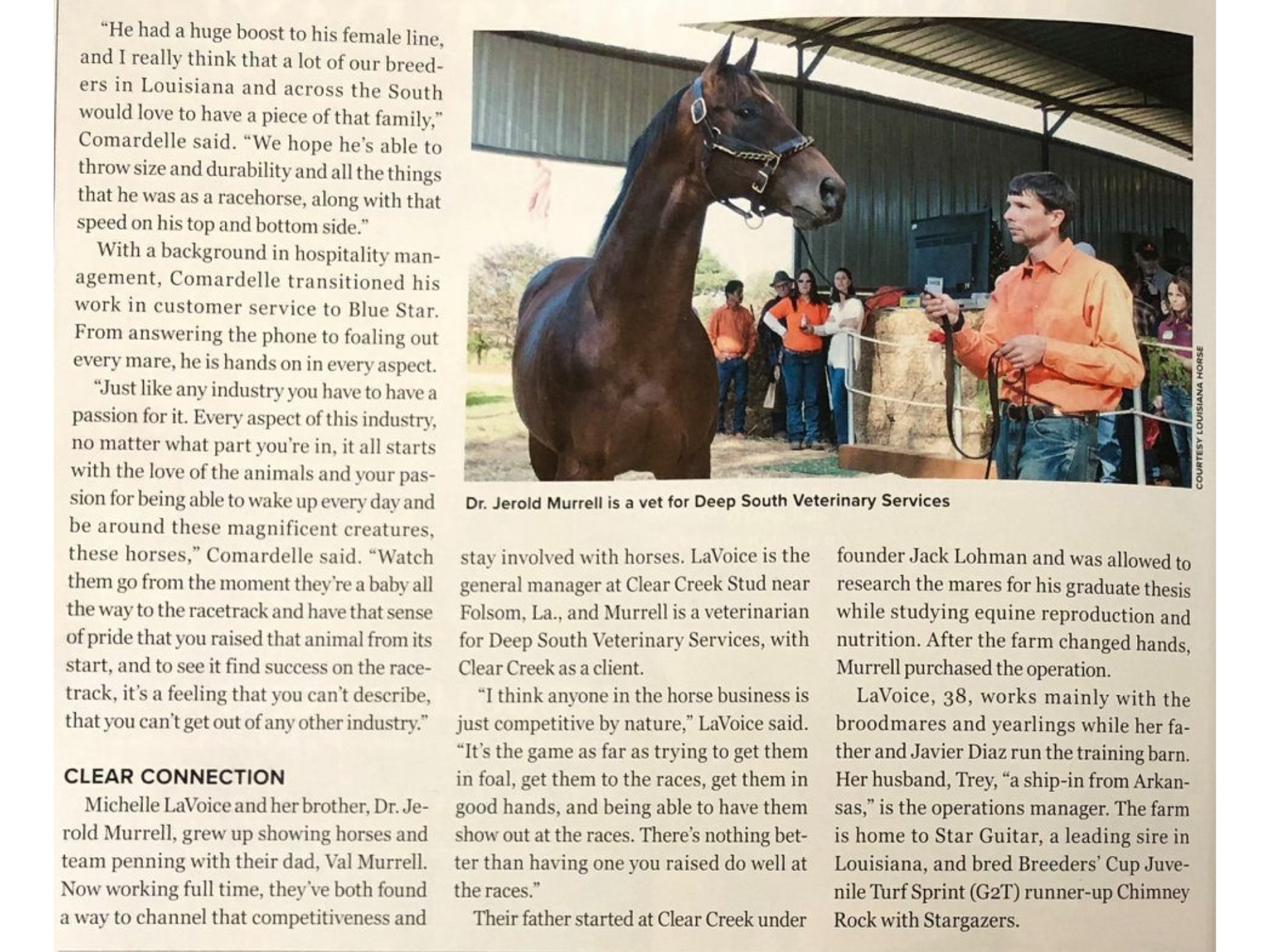 A man in an orange shirt holding a horse in a stable or barn, with several women and a few people in the background, some of whom are observing and others are talking. The horse is standing calmly, and the setting appears to be an indoor equine facility with metal roofing and walls.