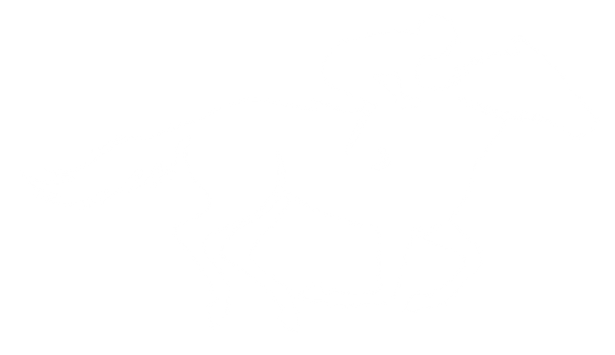 Silhouette of a person riding a galloping horse.