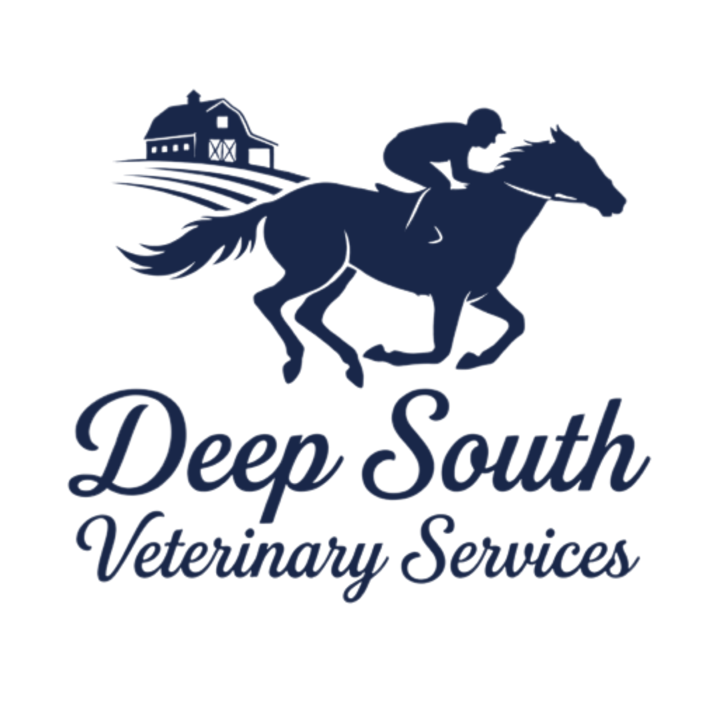 Logo for Deep South Veterinary Services featuring a running horse, a veterinarian, a barn, and fields.