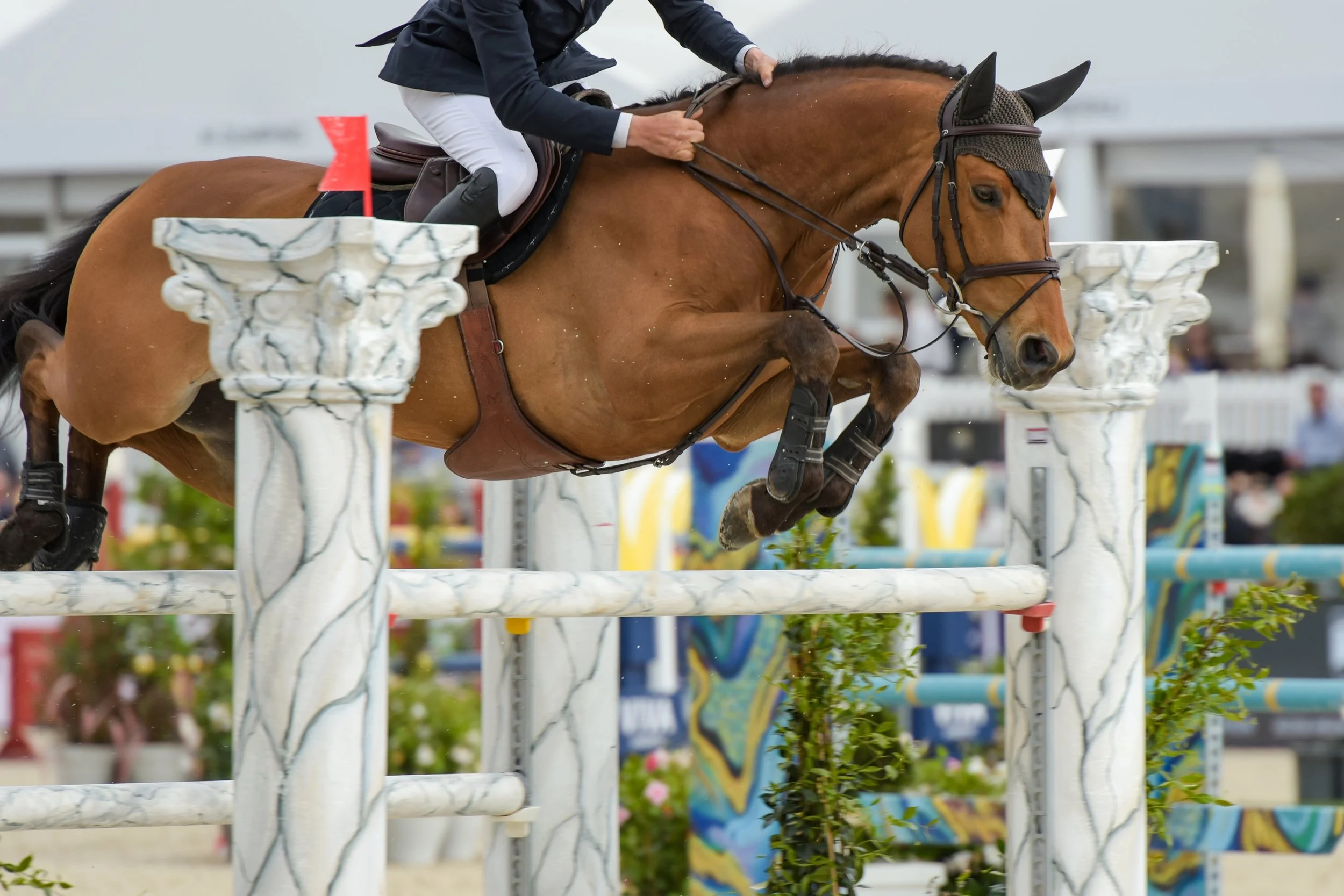 Horse and rider jumping over an obstacle during a show jumping event.