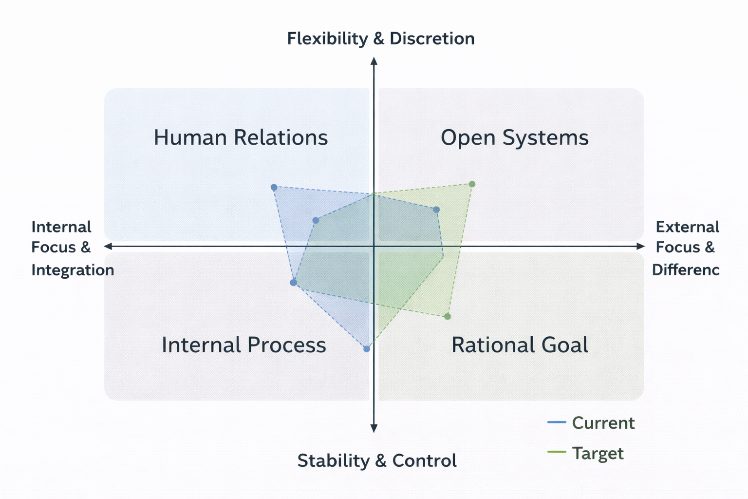 Transformation Culture Leader
