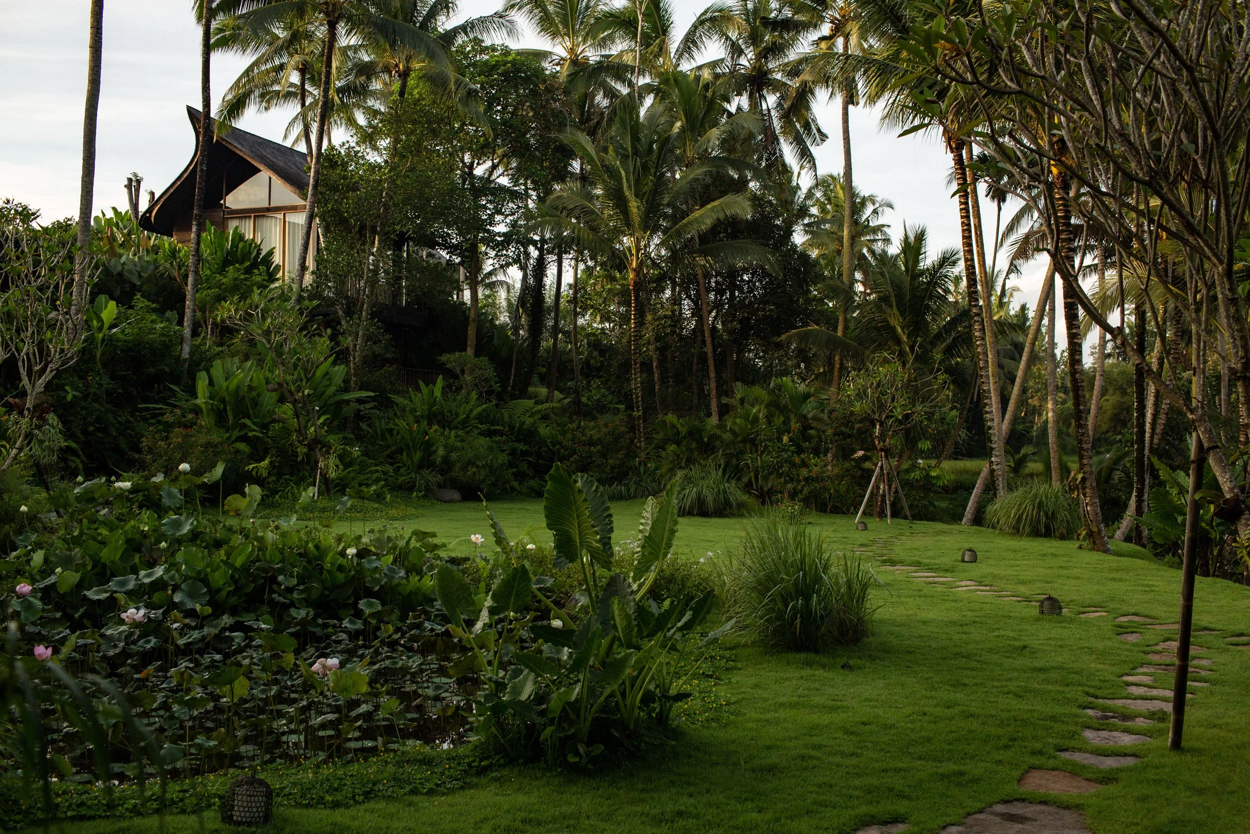 UMA JIWA - MAIN HOUSE - EXTERIORS (18 of 19) - IMG_5028.jpg