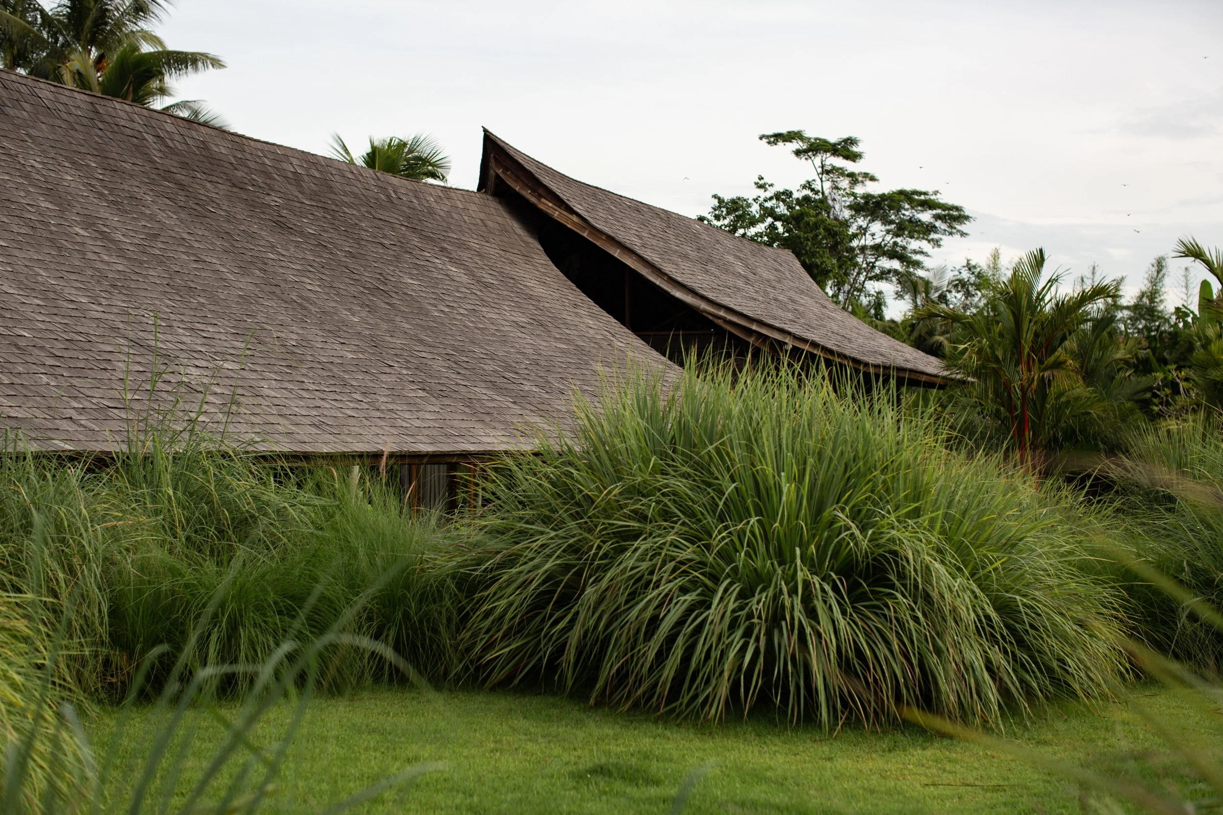 UMA JIWA - MAIN HOUSE - ENTRANCE, GARDEN (2 of 12) - IMG_5256.jpg