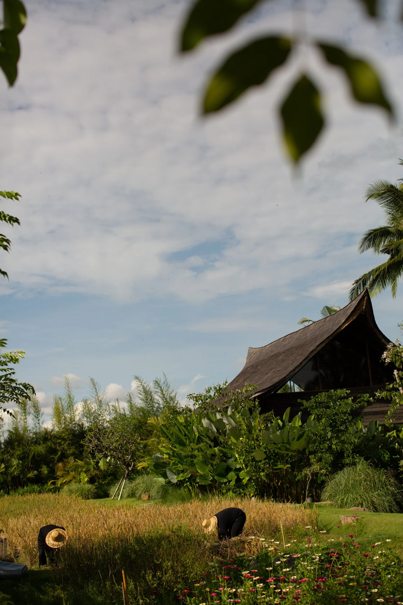 UMA JIWA - MAIN HOUSE - ENTRANCE, GARDEN (12 of 12) - IMG_5330.jpg