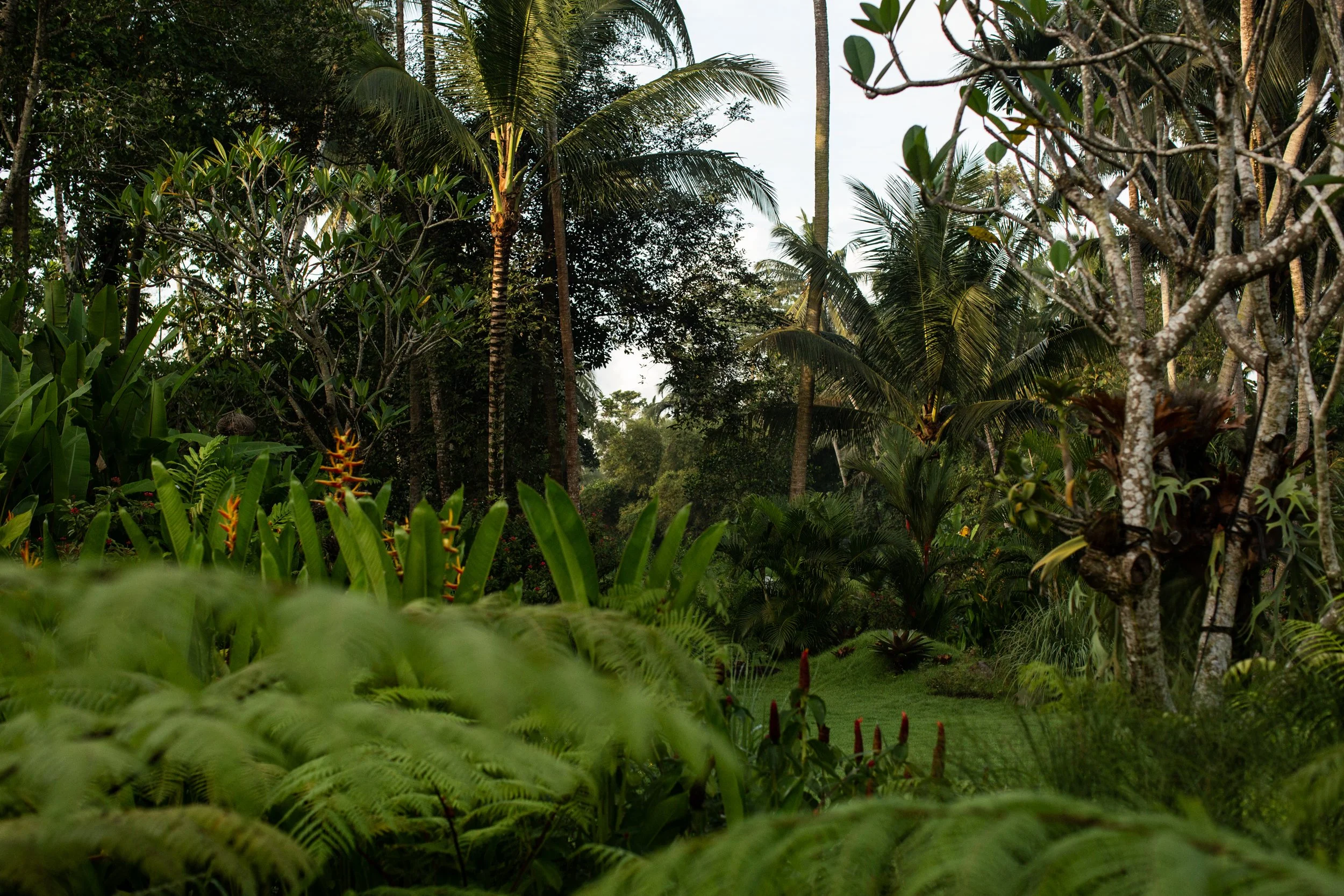 UMA JIWA - MAIN HOUSE - EXTERIORS (16 of 19) - IMG_5004.jpg