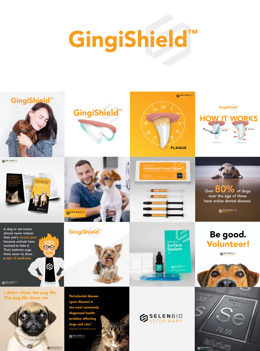 Logo, Branding, and Social Media for SelenBio Veterinary's GingiShield Product