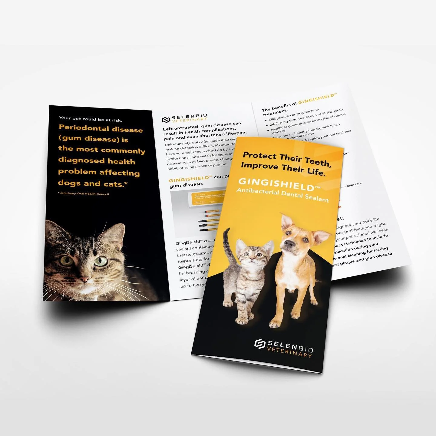 gingishield-brochure-mockup-high-res-fb.jpg