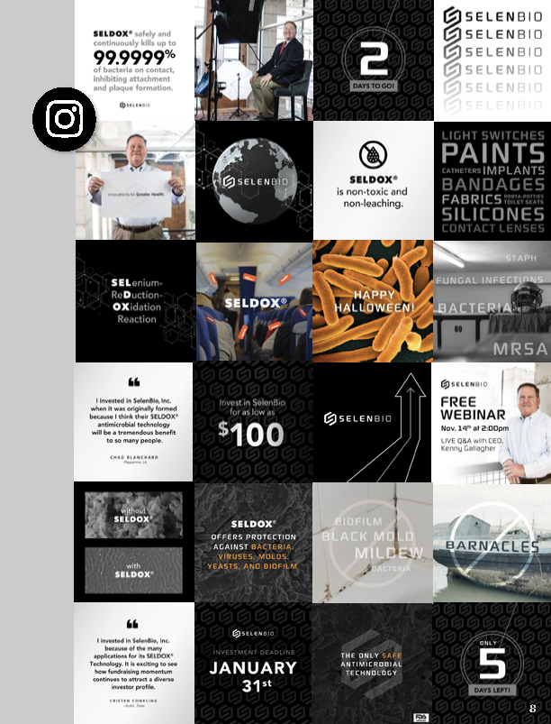 Kaylie_Walden_Portfolio-WGU_Page_09.png