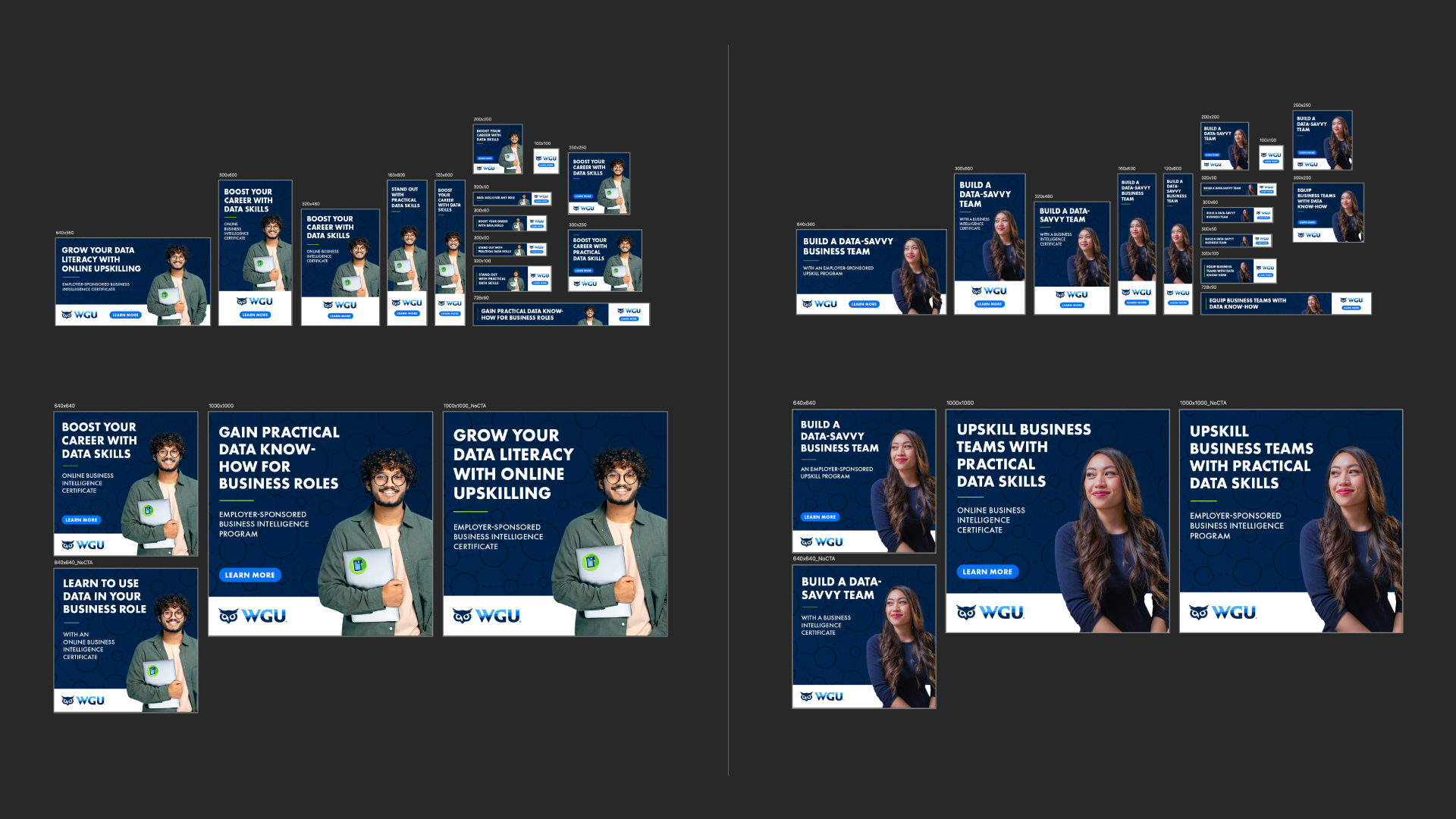 WGU Business Intelligence Certificate B2B Ad Campaign with MNTN, Inc and LinkedIn