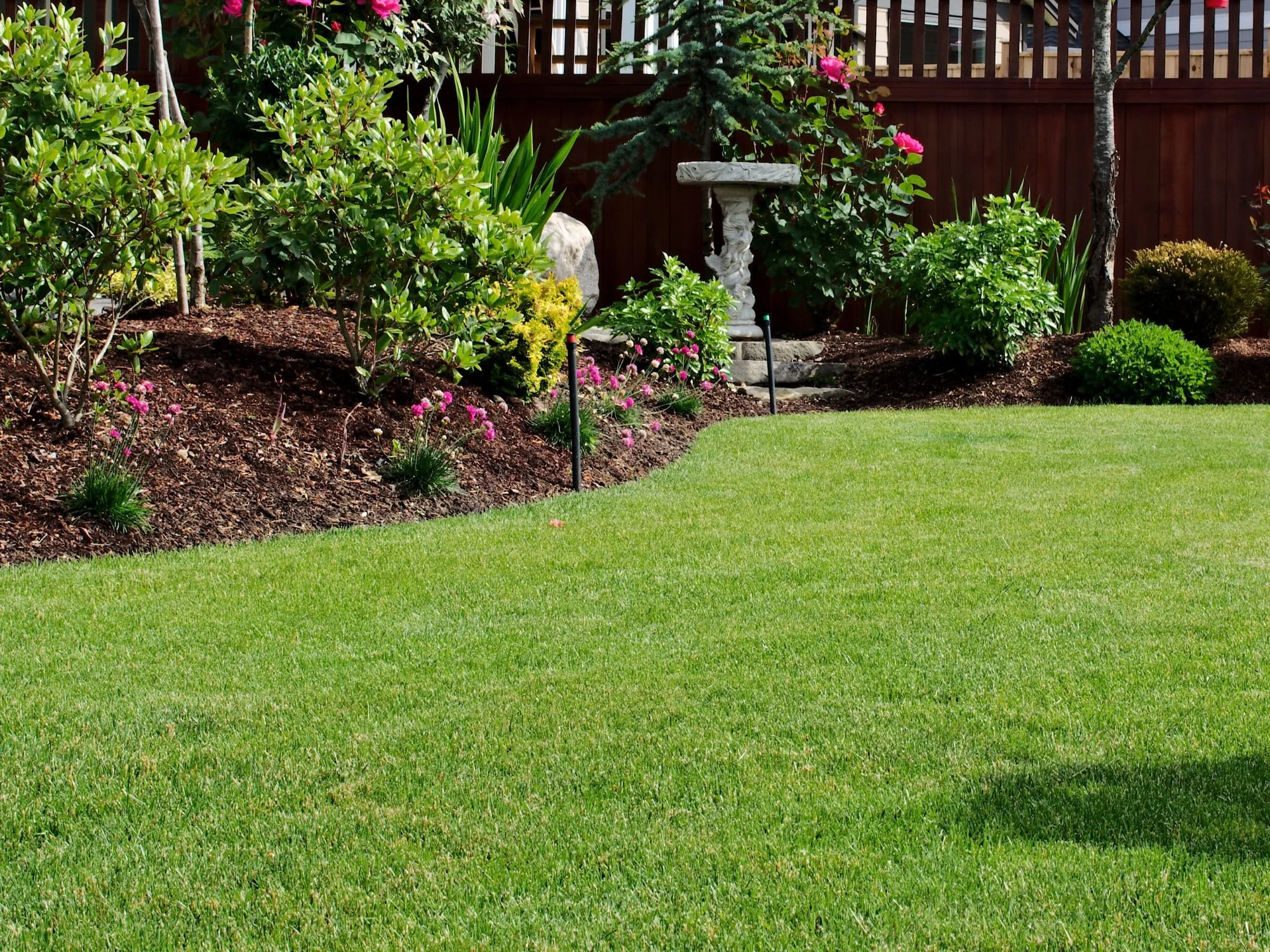 A well-maintained backyard garden with green grass, various flowering plants, shrubs, a small tree, and a stone birdbath against a wooden fence.