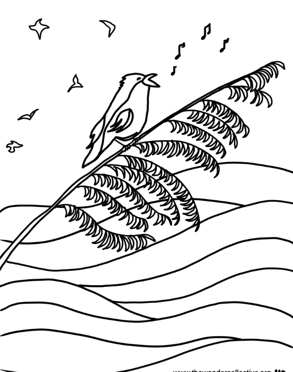 birds singing