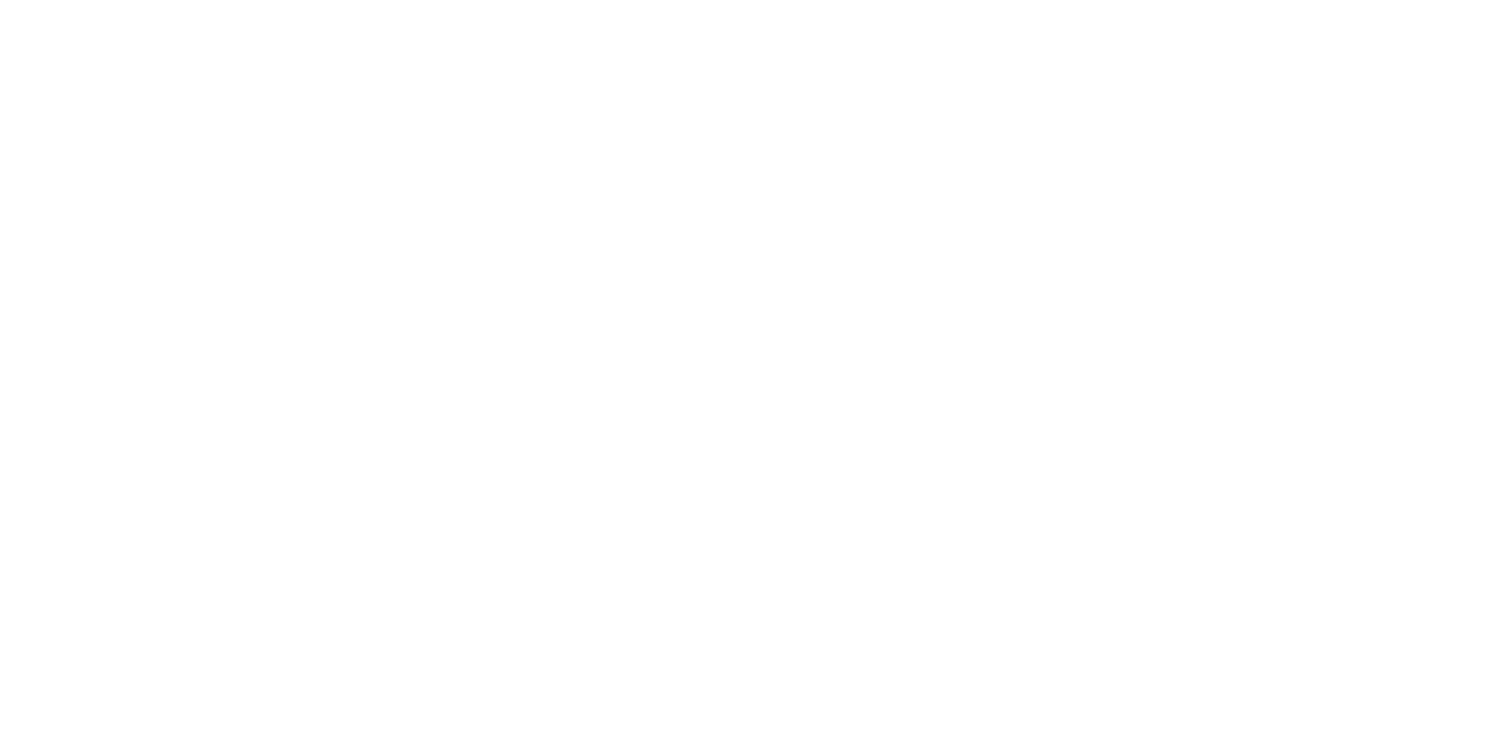 THE STRUTS