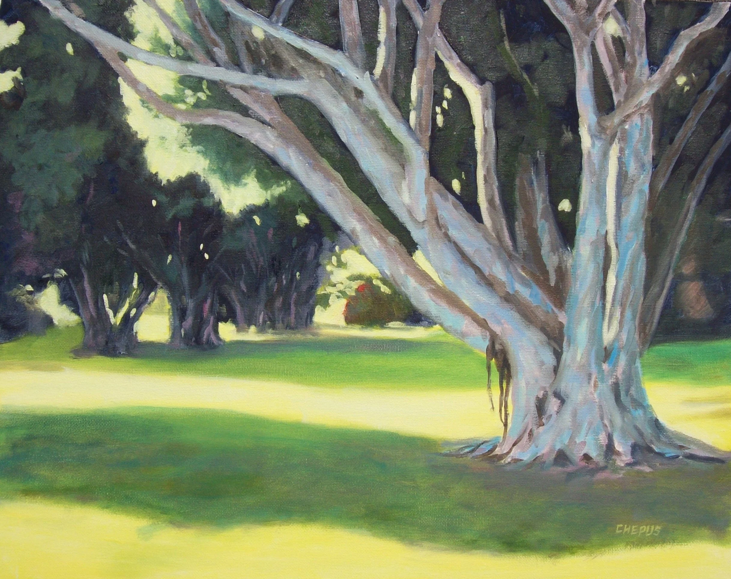 Florida Winter Light oil 16x20 $950