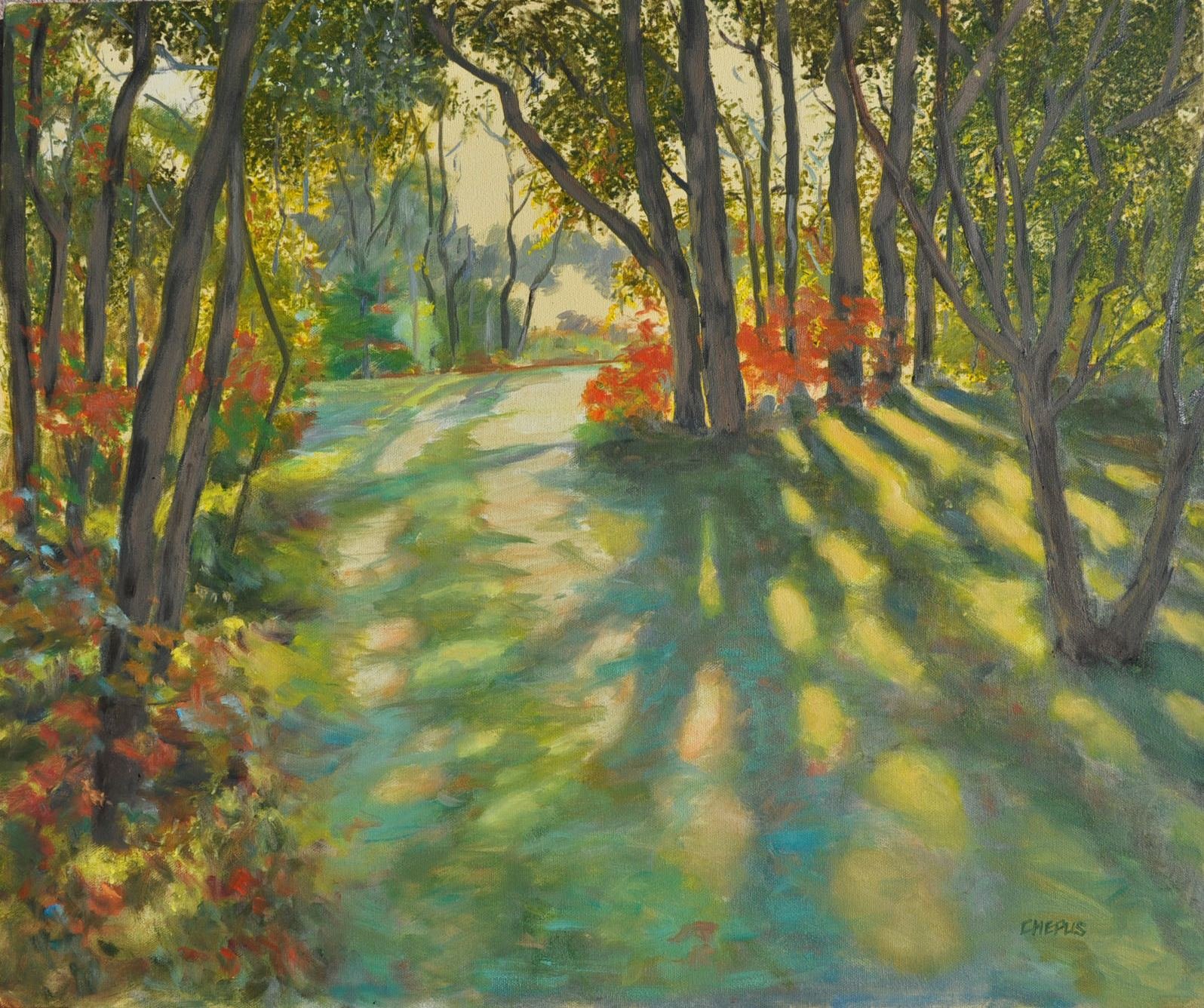 Afternoon Rays oil 20x24 $1500