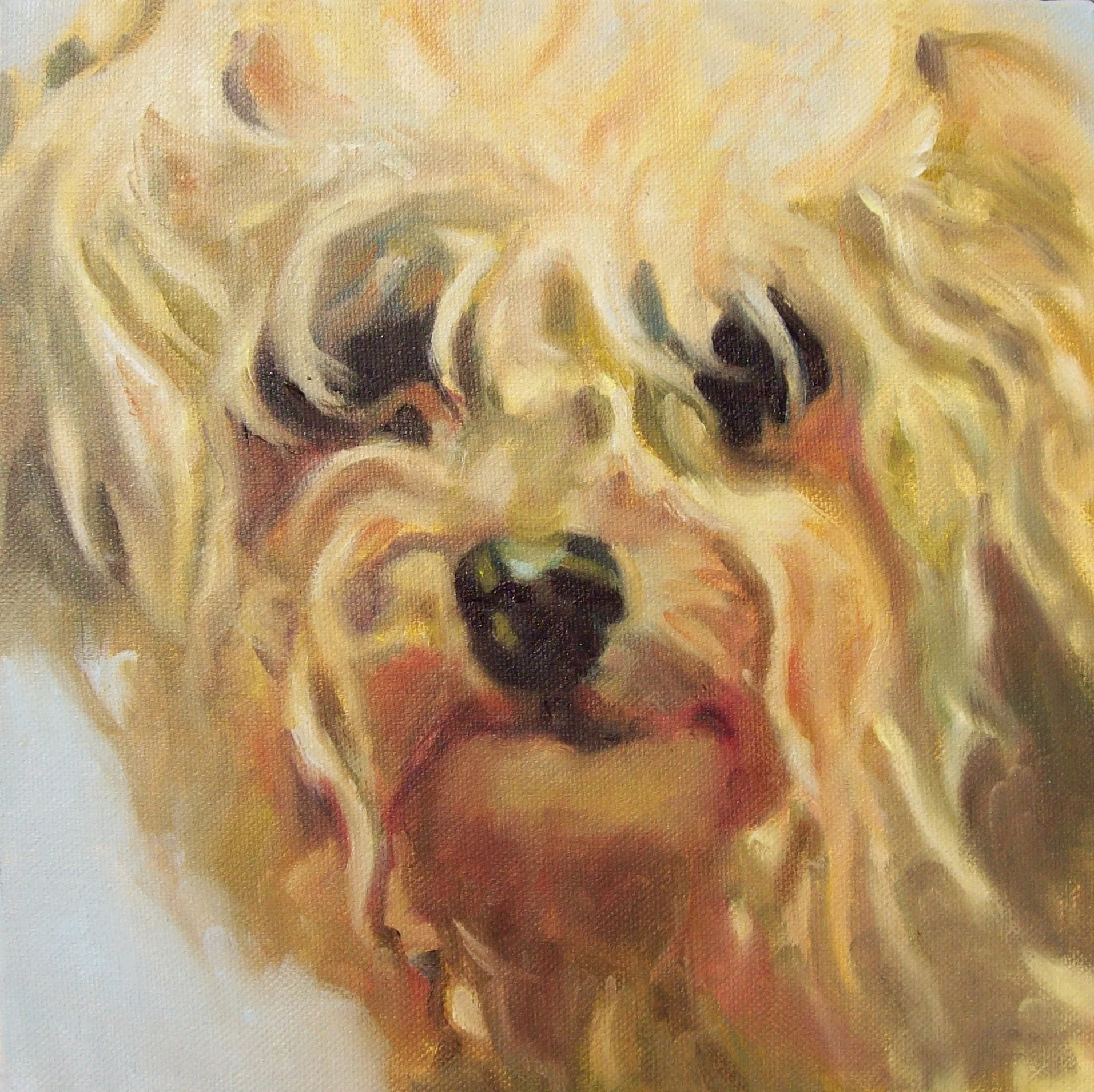 Honey oil 12x12 Sold