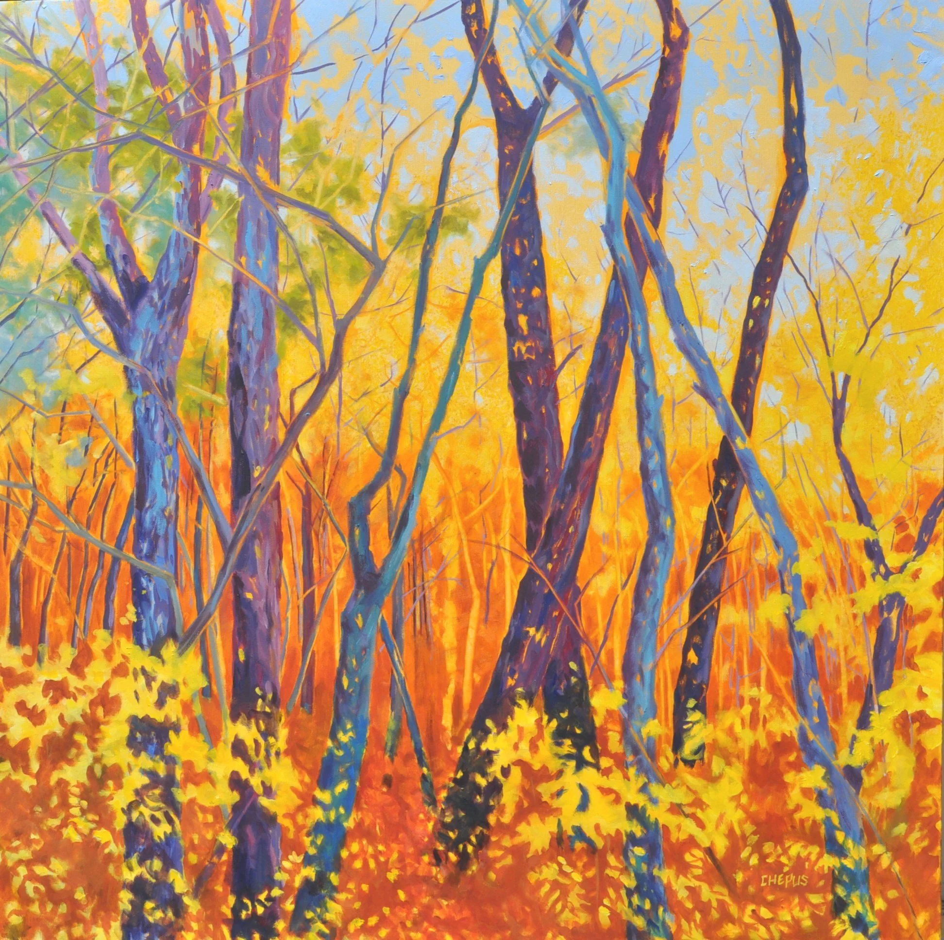 Forest oil 36x36 NFS