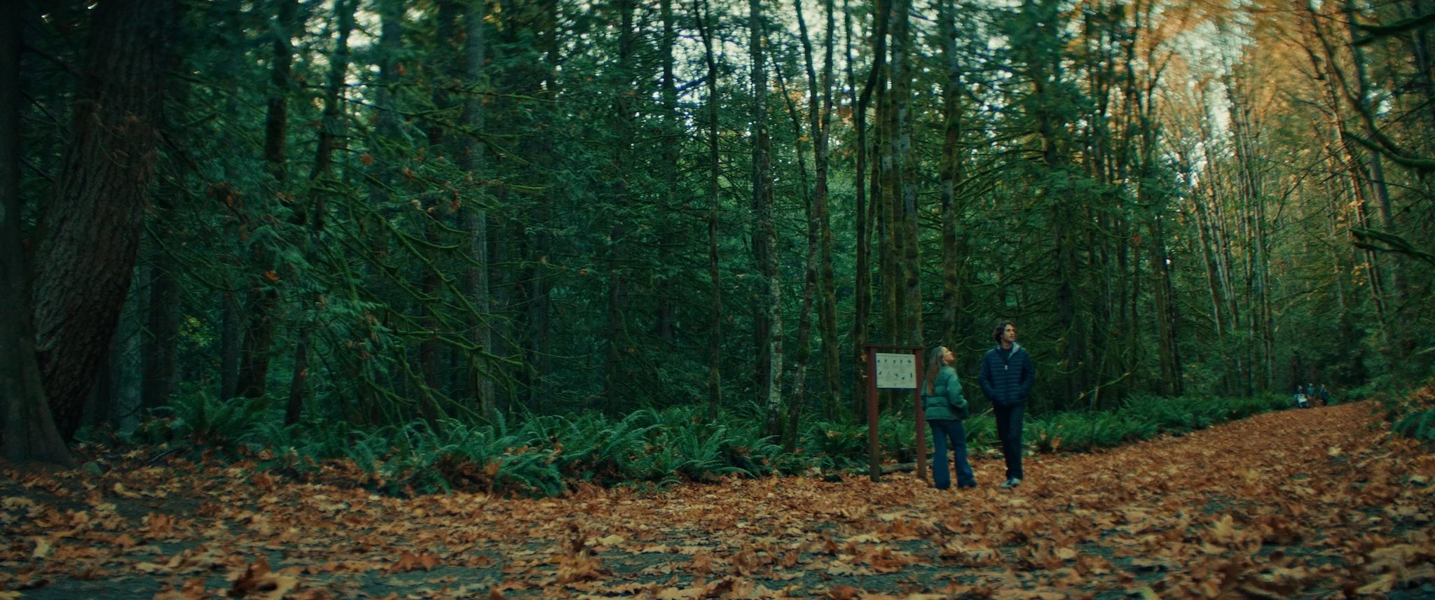 Two people in jackets walking through a forest covered with fallen leaves, with a signpost visible in the middle ground.