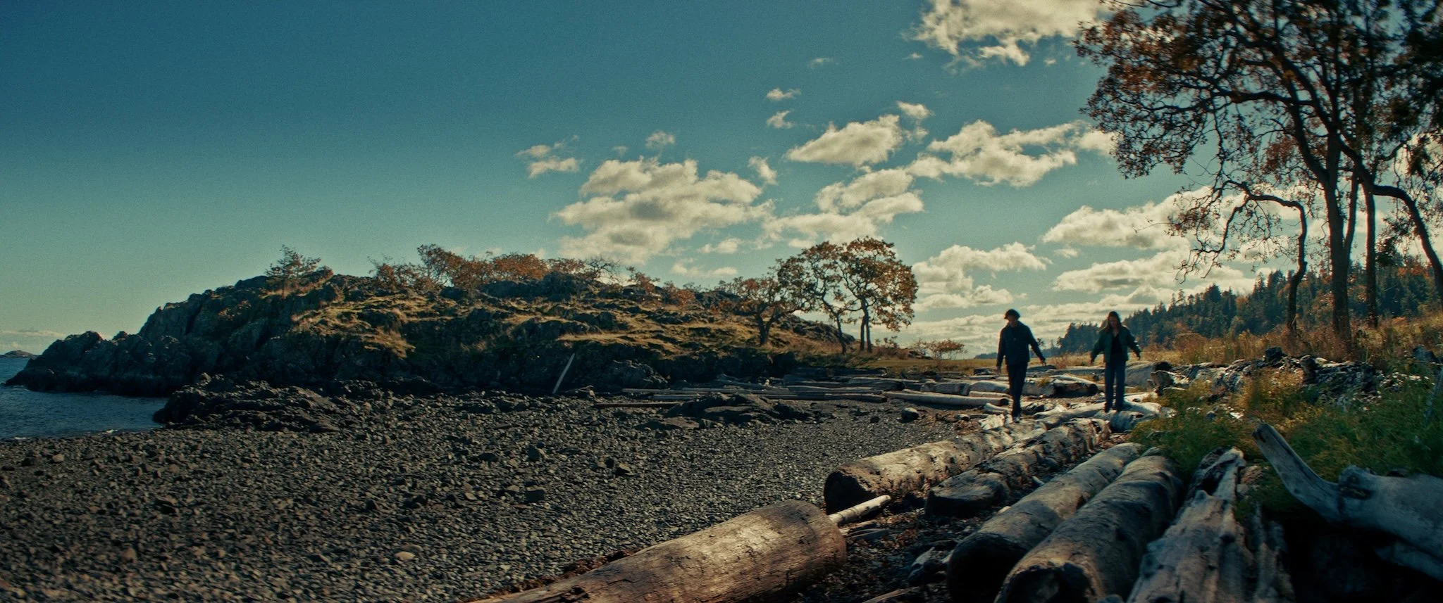 Two people walk along a rocky beach with driftwood, trees, and a hill in the background under a partly cloudy sky.
