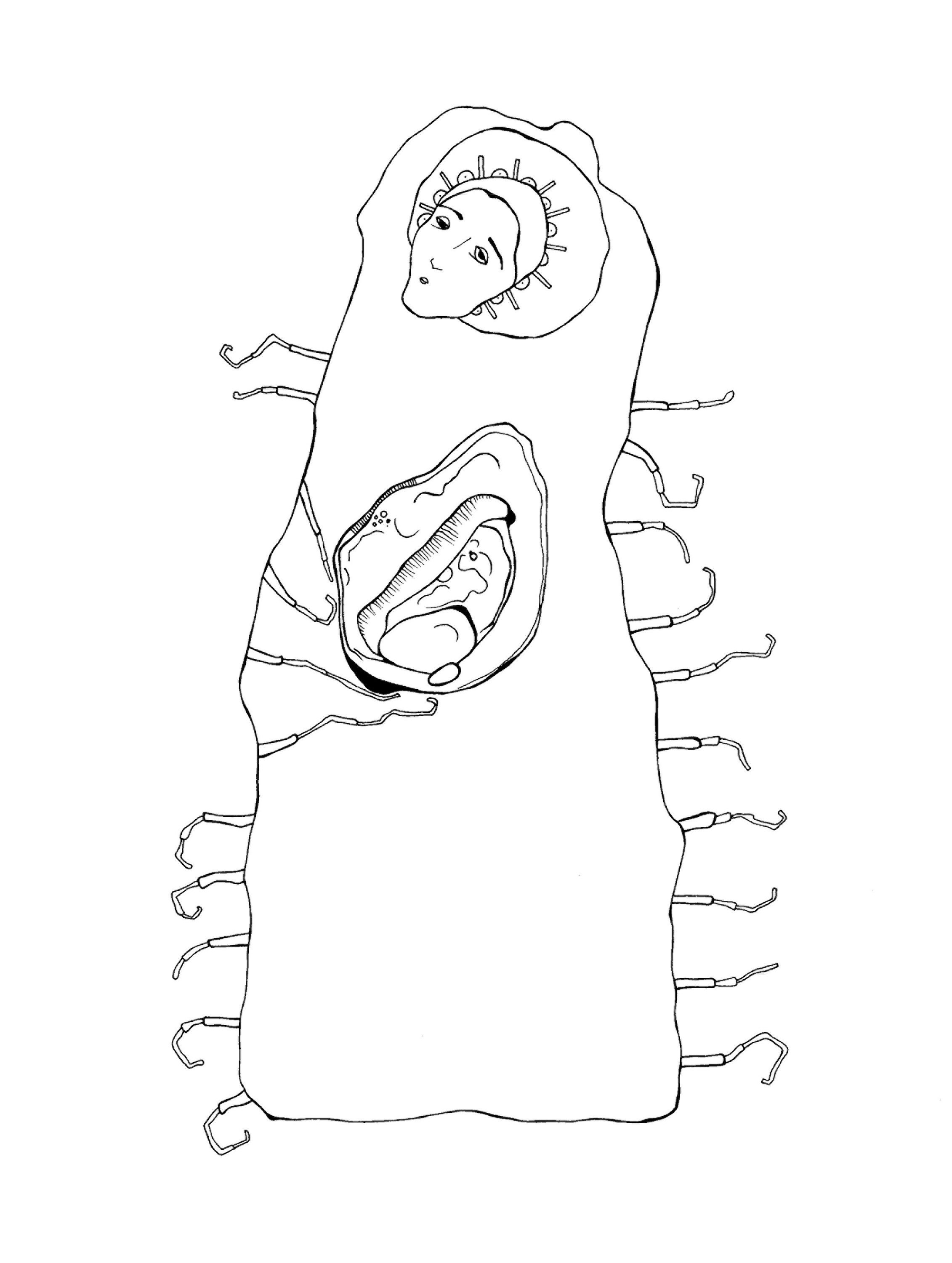 ballads - I. brood - amanda lee ryan