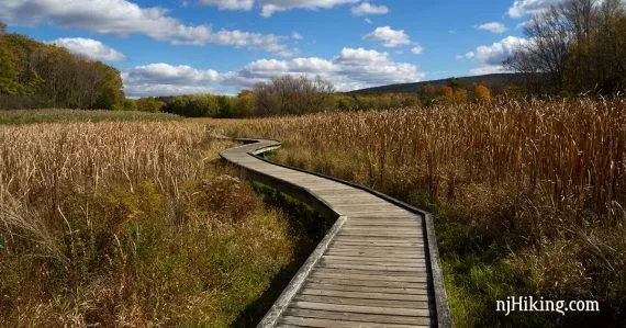The Pochuck Boardwalk: New Jersey’s Most Instagrammable Trail