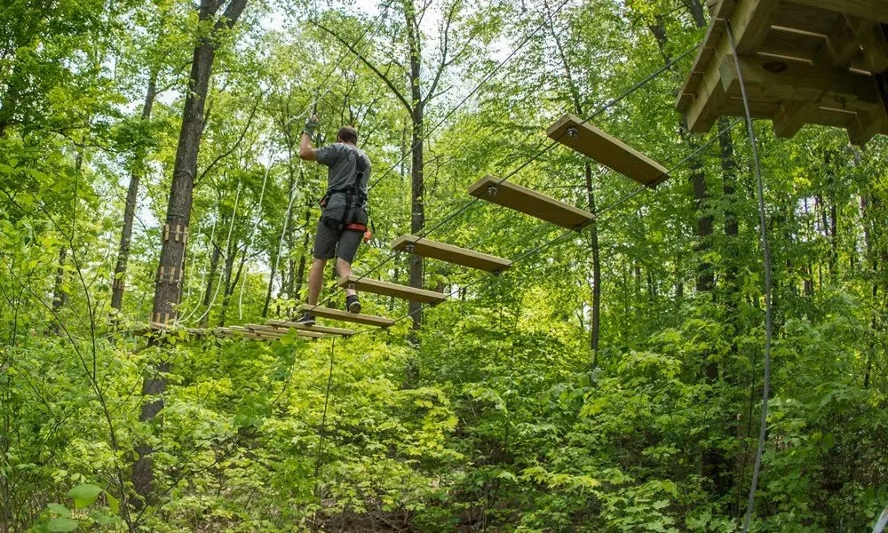 The High-Flying Adventure: TreEscape Aerial Adventure Park