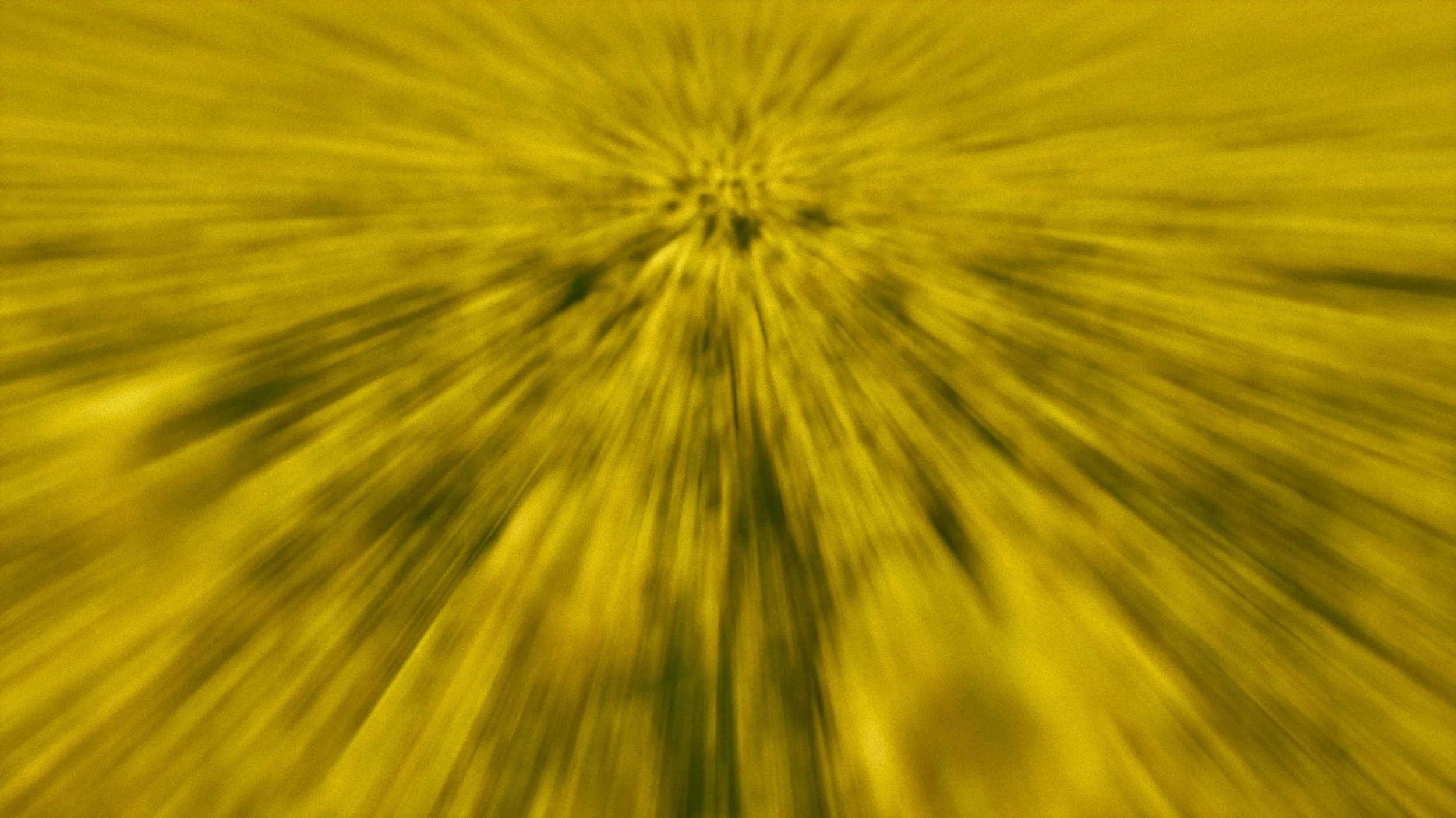 fields_of_grace_03_2x.webp