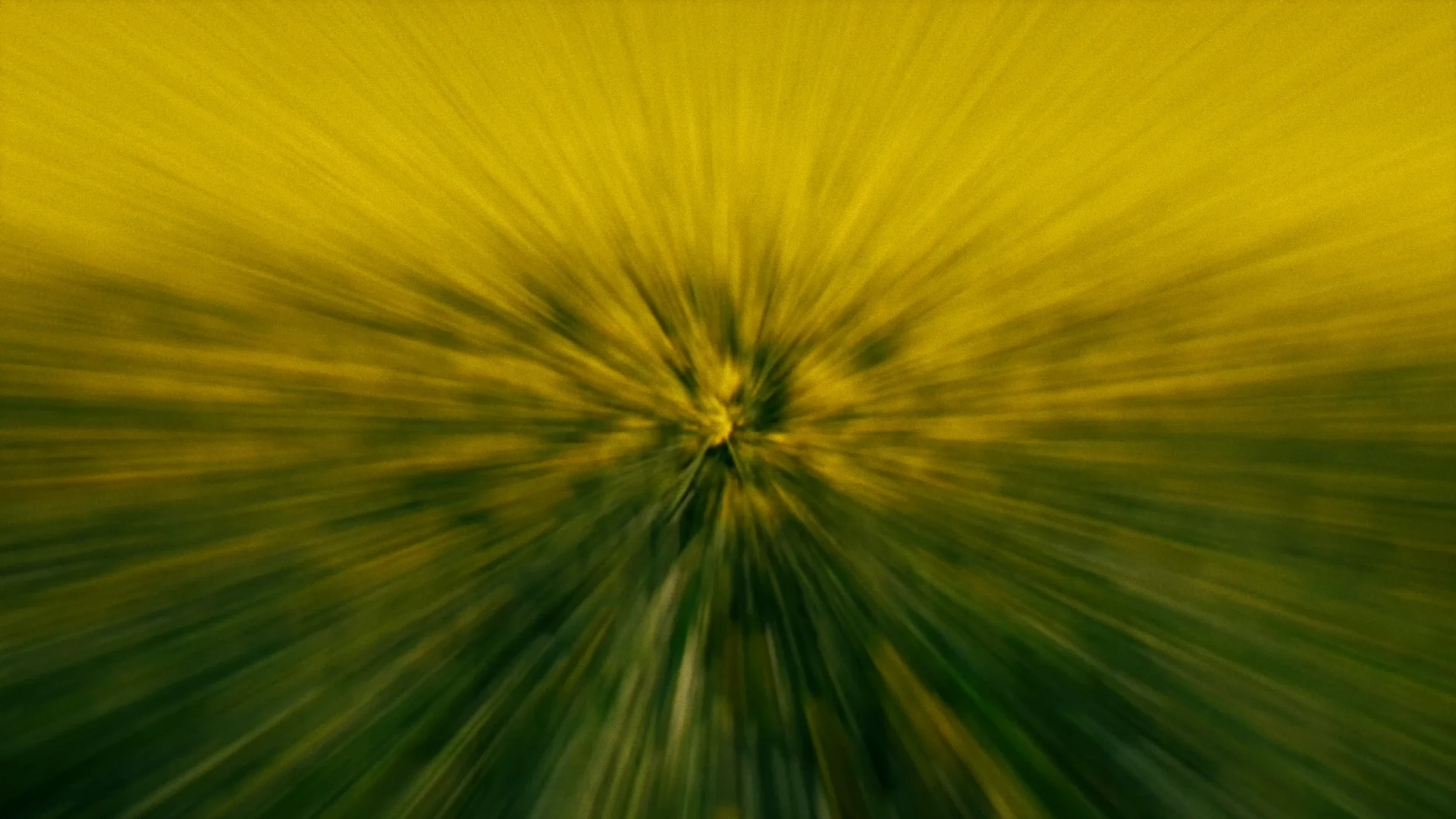 fields_of_grace_04_2x.webp