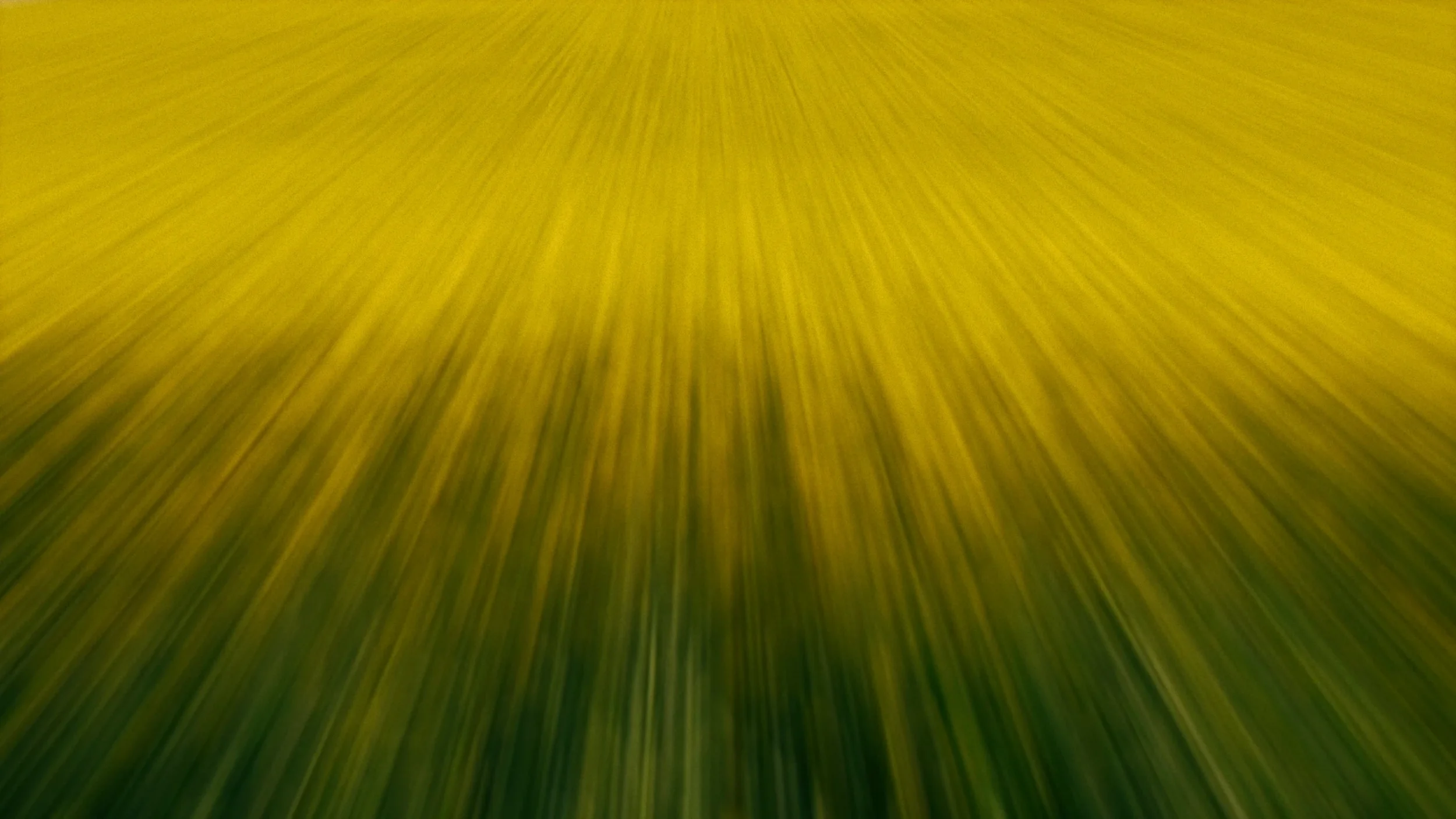 fields_of_grace_02_2x.webp
