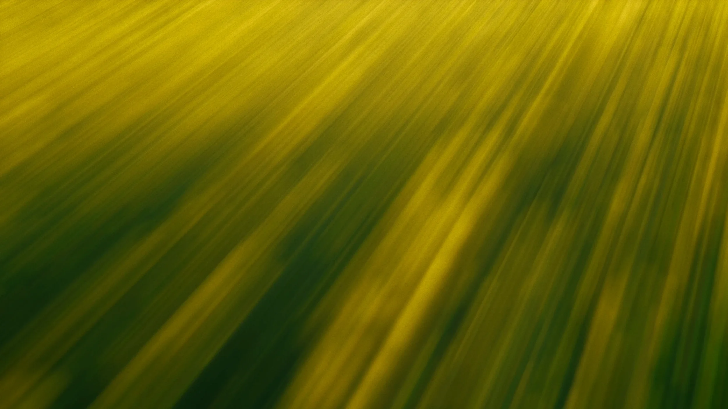 fields_of_grace_01_2x.webp
