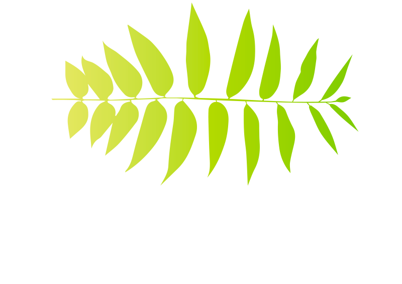 Tree Planting Denver