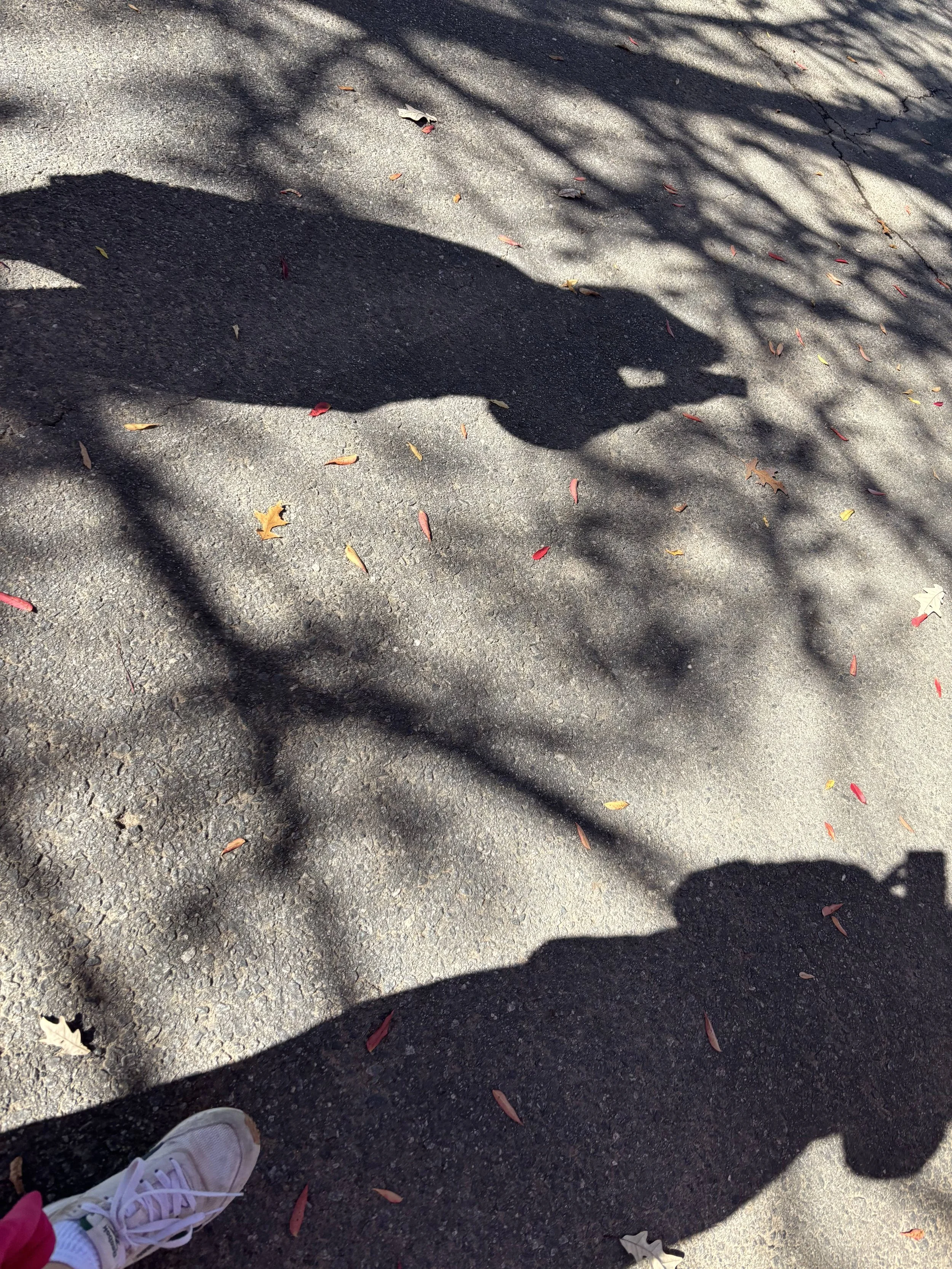 Affective Encounters (2025)