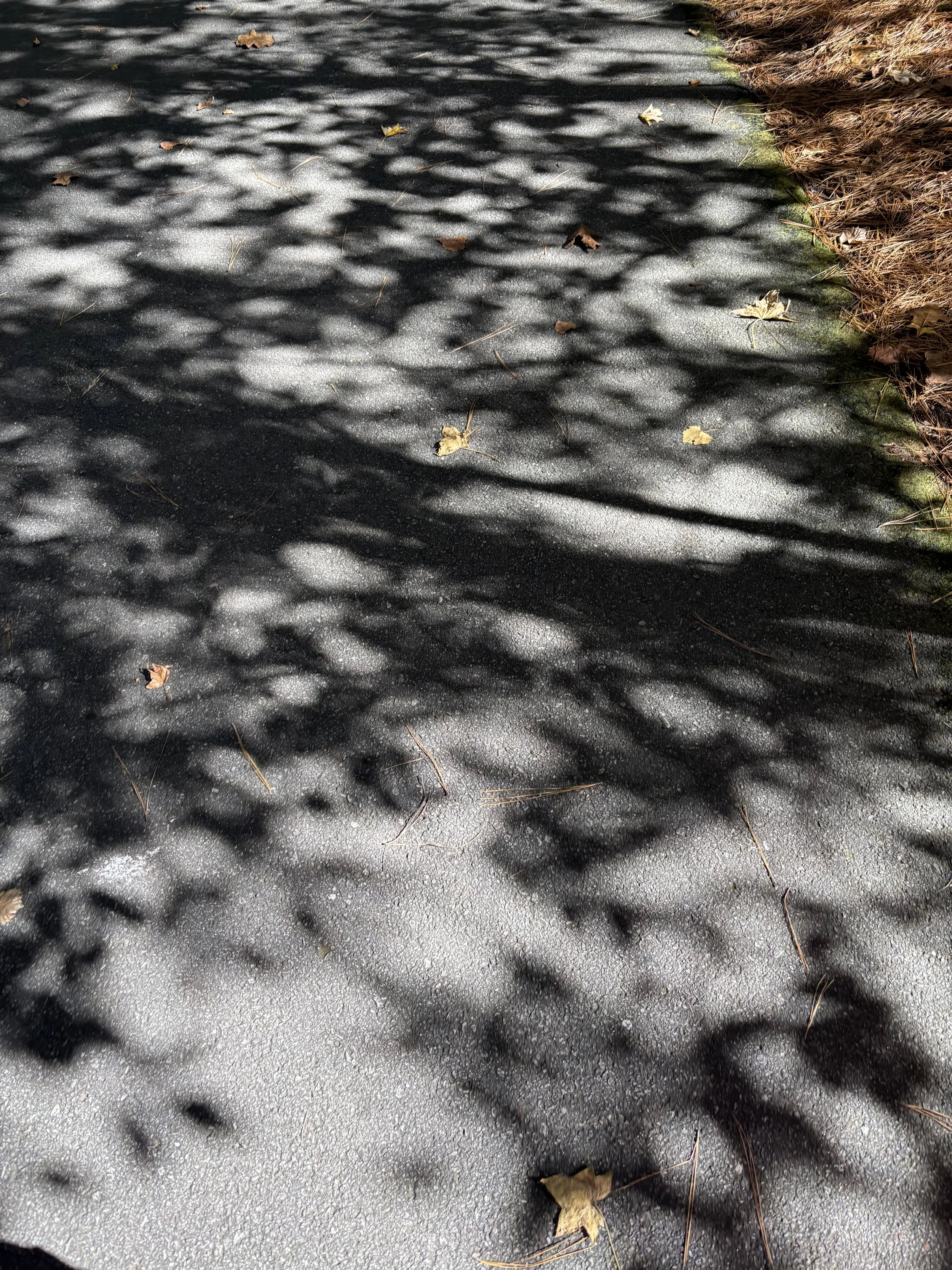 Affective Encounters (2025)