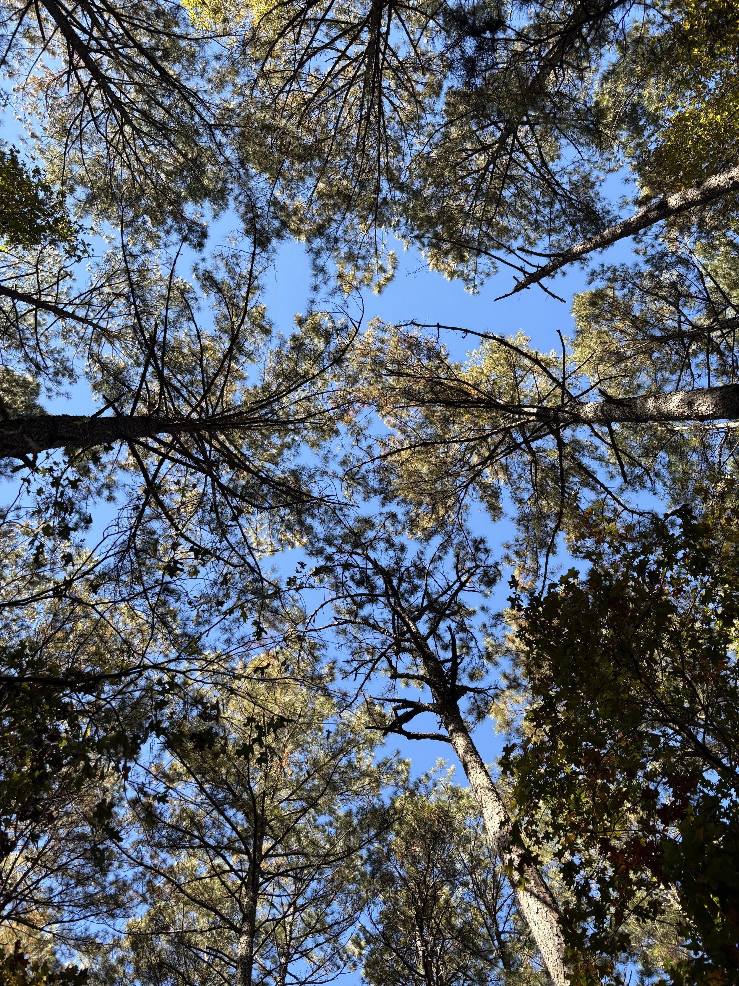 Affective Spaces (2025) 