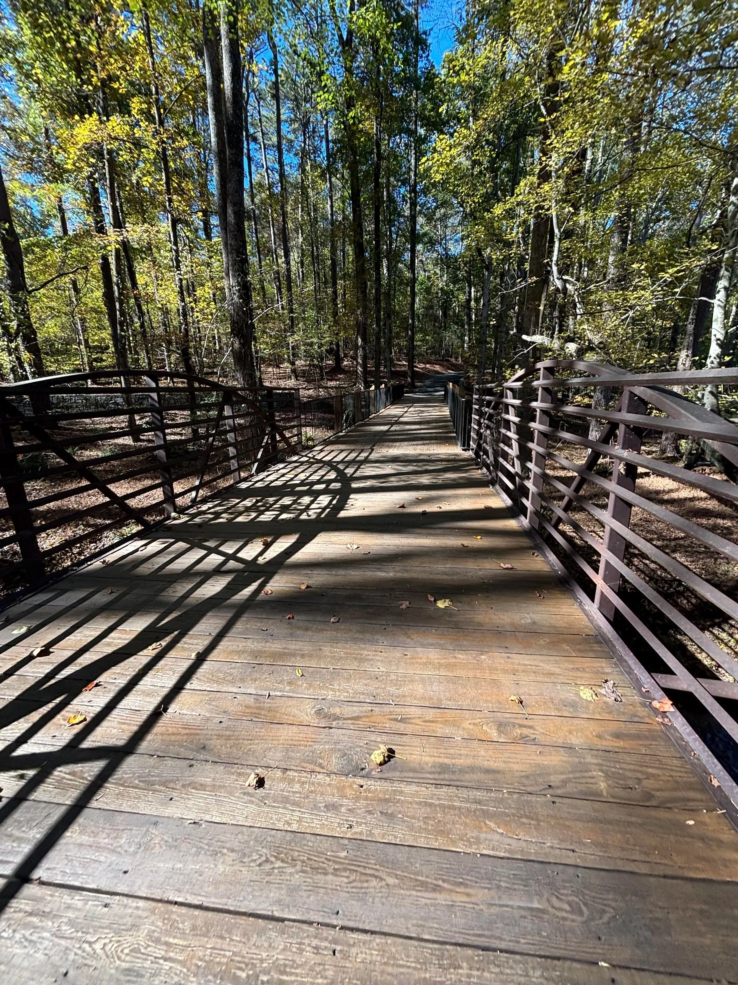 Affective Responses (2025)