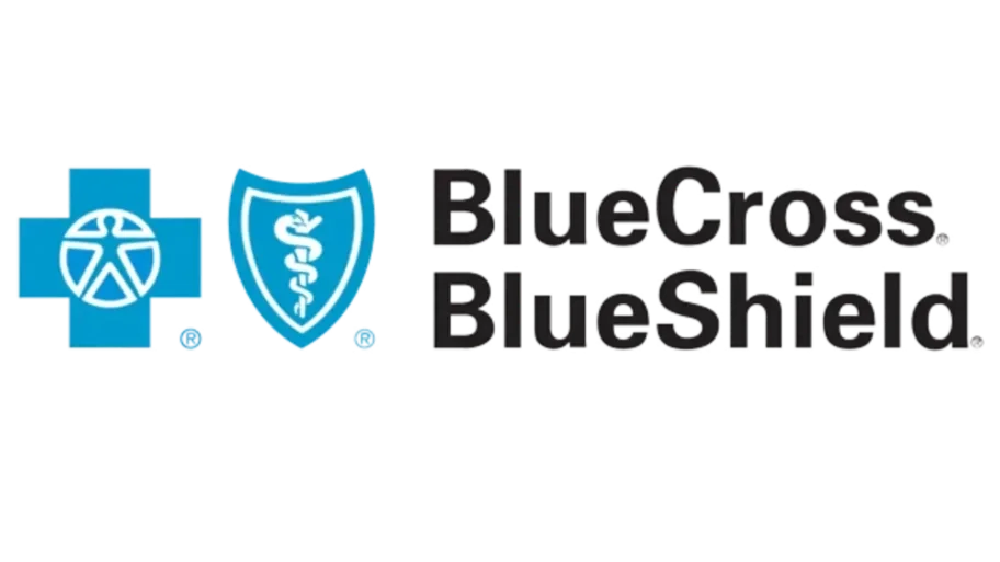 Therapist accepts Blue Cross and Blue Shield insurance in San Fransisco Bay Area