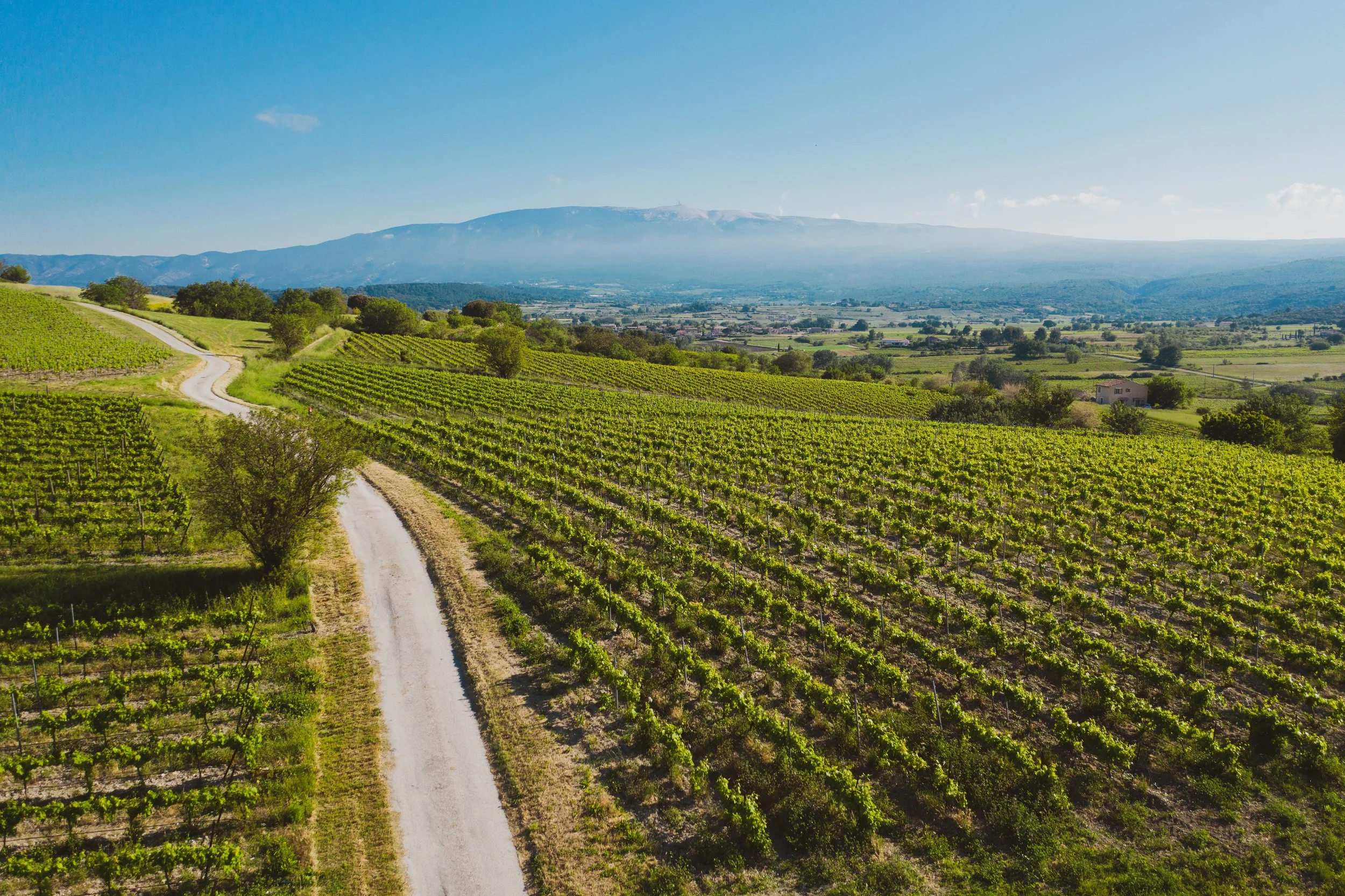 DJI_0019.jpg