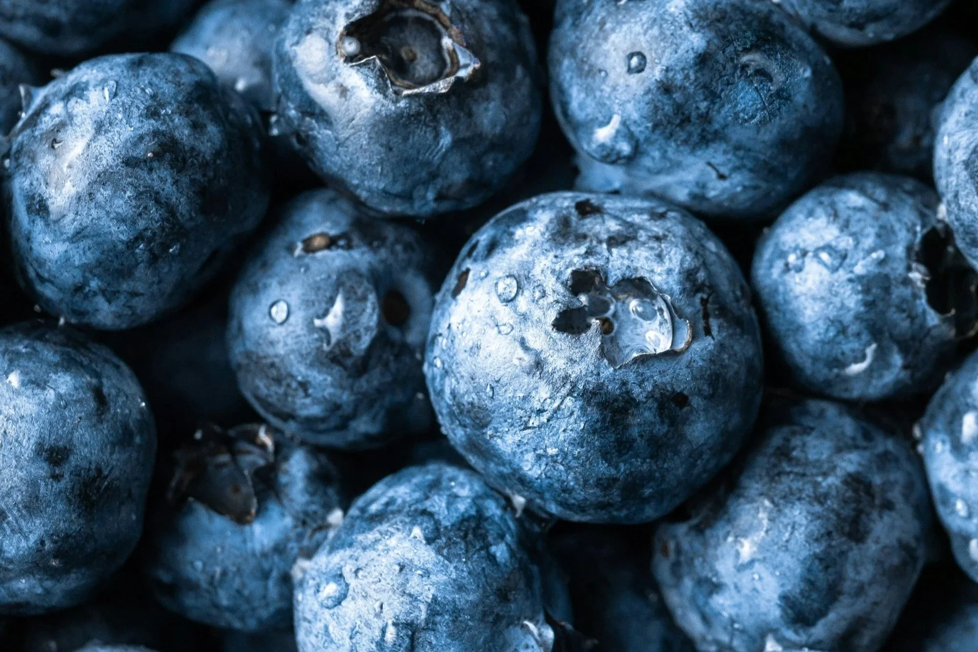 Blueberries (5lb container)