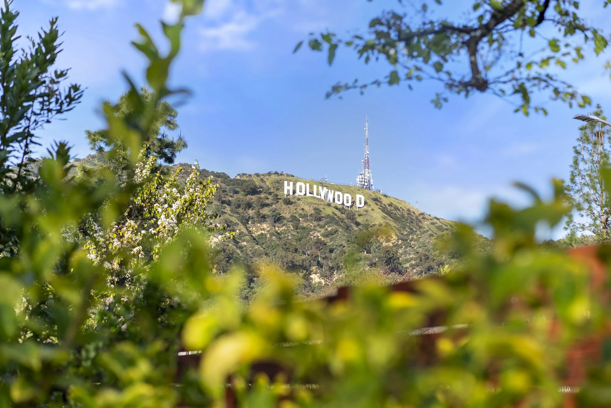 3127 Arrowhead 58.jpg