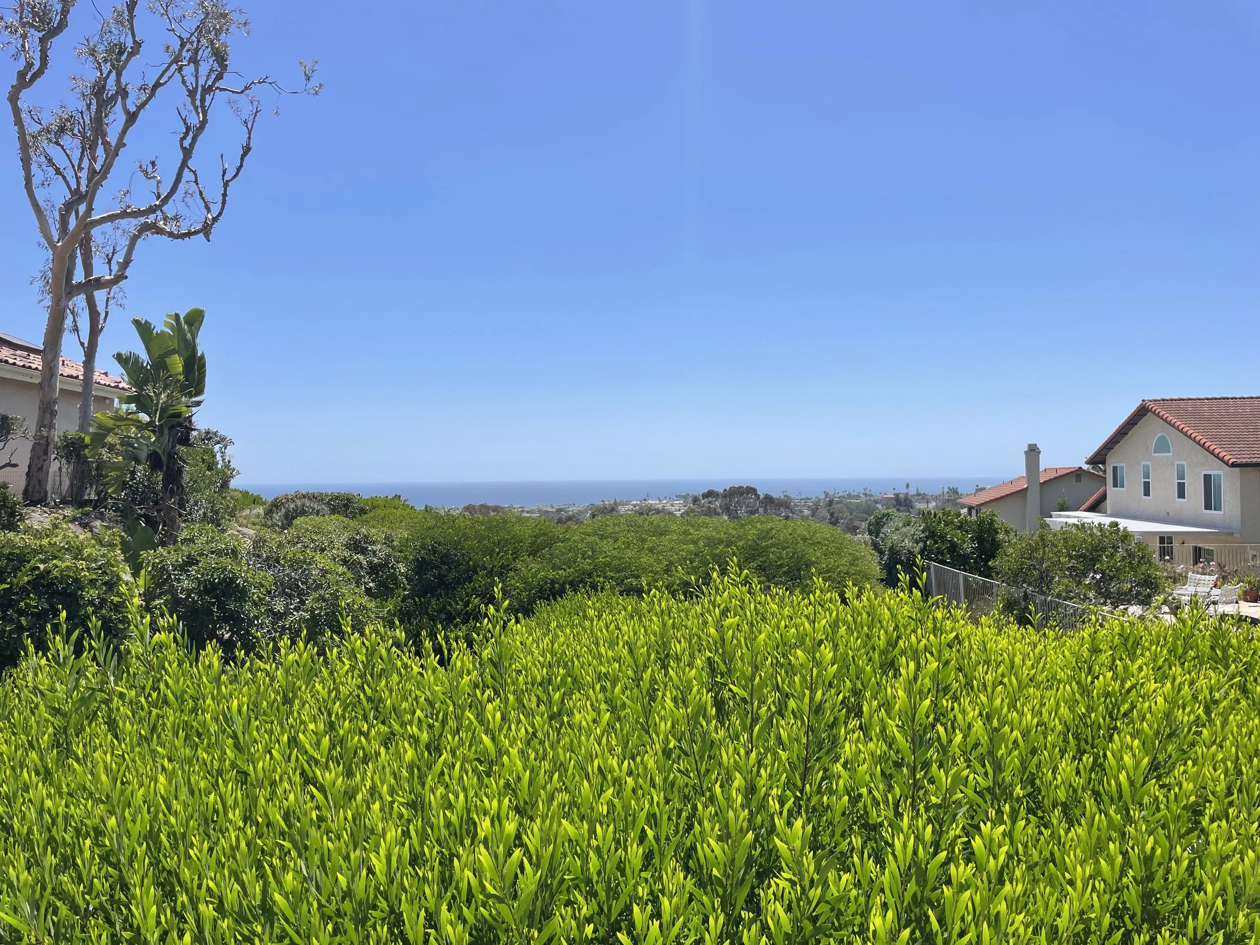 View of a lush green garden with houses and trees, overlooking the ocean and clear blue sky in the distance.