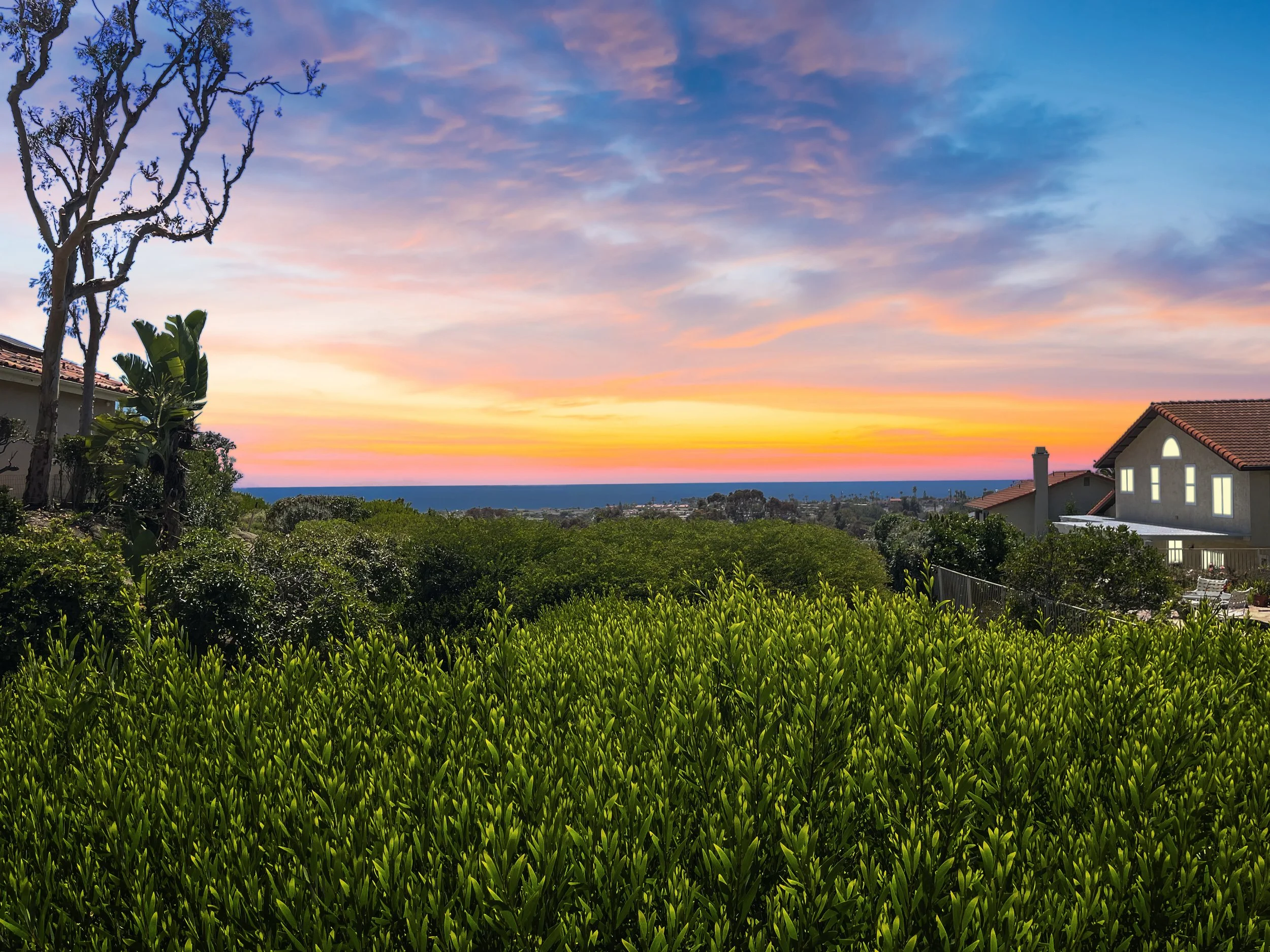 Sunset over a lush green yard with houses on the right and left, showing a colorful sky with pink, orange, and blue hues.