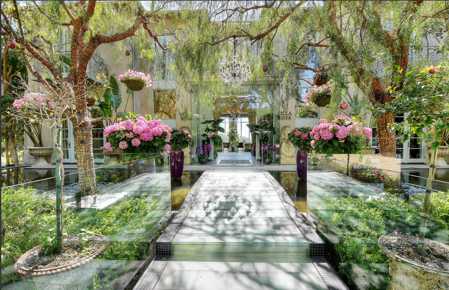 A lush indoor garden with pink hydrangea flowers in tall purple pots lining the path leading to a glass entrance with 