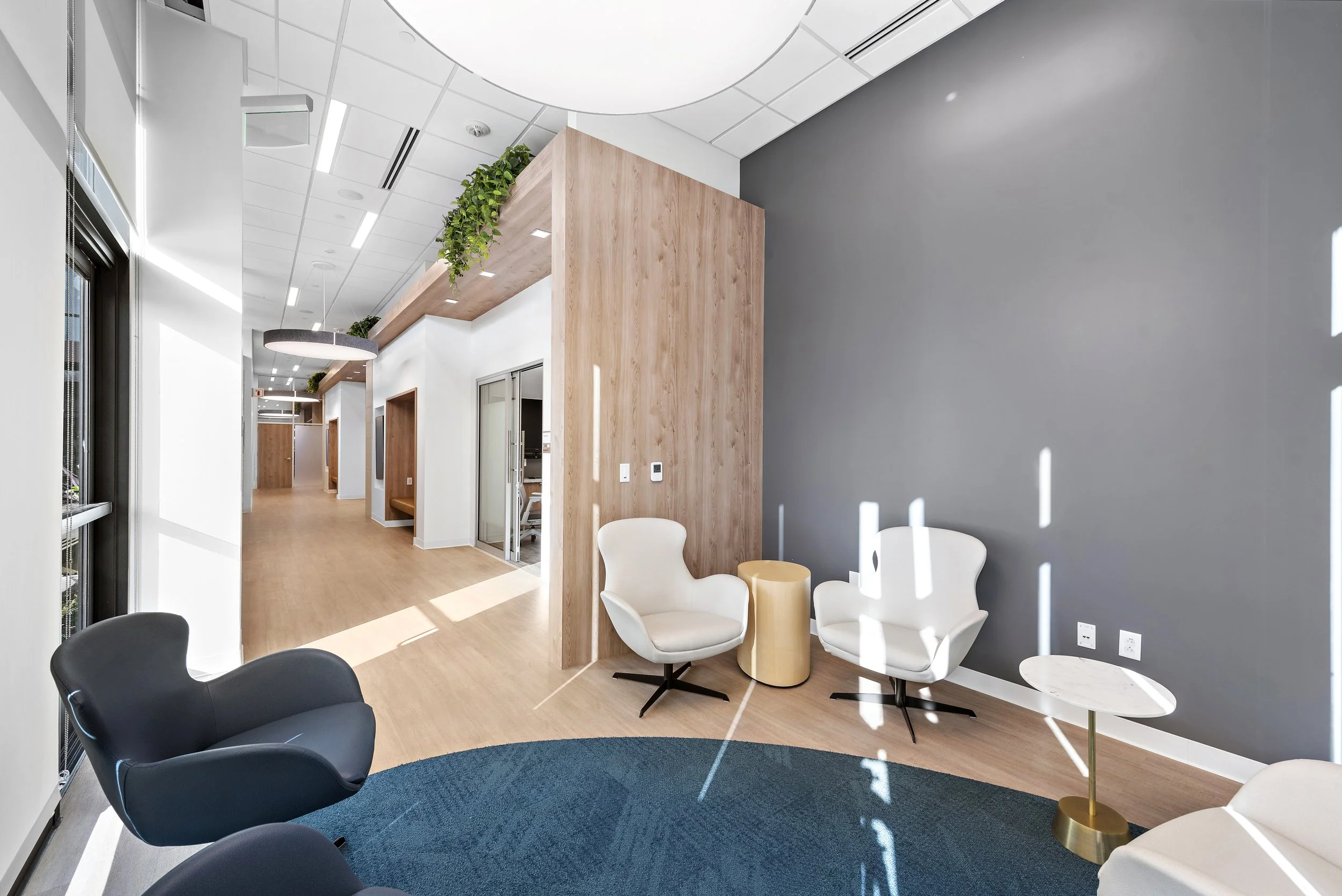 Modern office lounge with white and black chairs, a blue rug, a small gold side table, a wooden partition, and sunlight casting shadows on a dark gray wall.