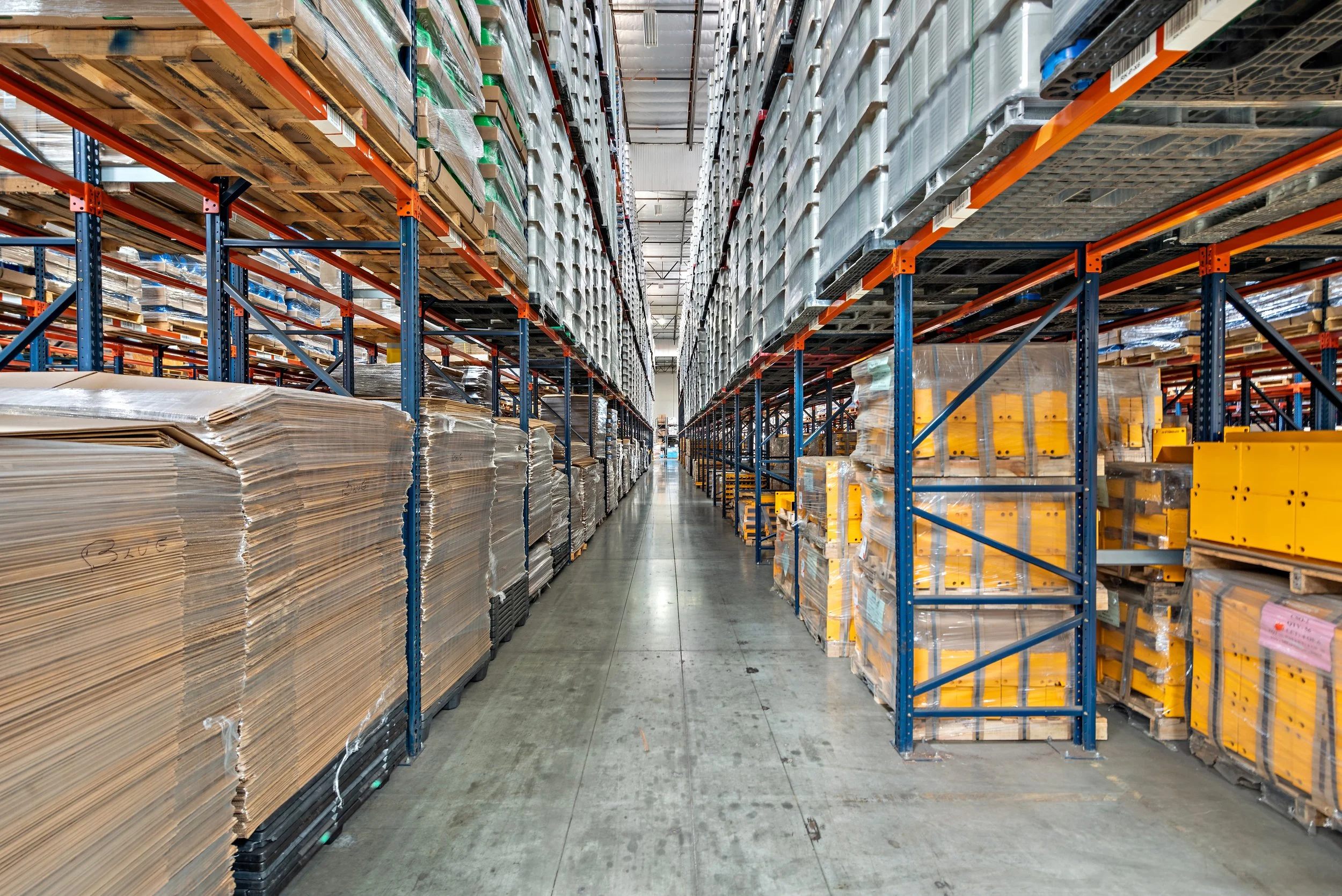 19-print-15300 Desman 19.jpg