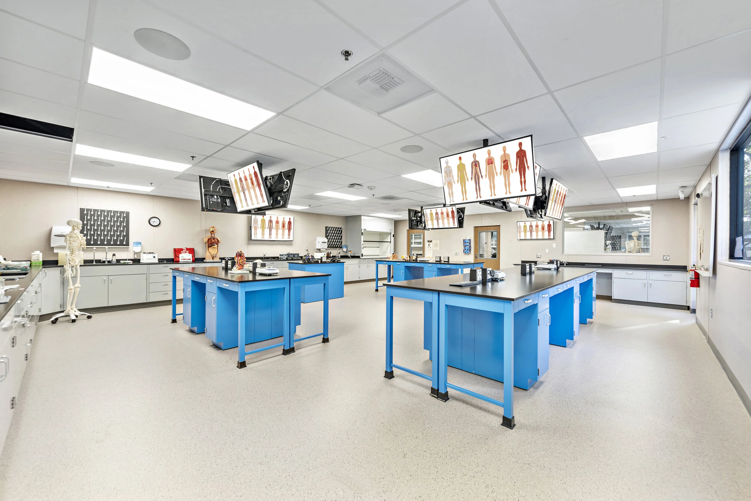 An empty medical laboratory with blue workbenches, anatomical models, skeleton, and multiple monitors displaying human body diagrams.